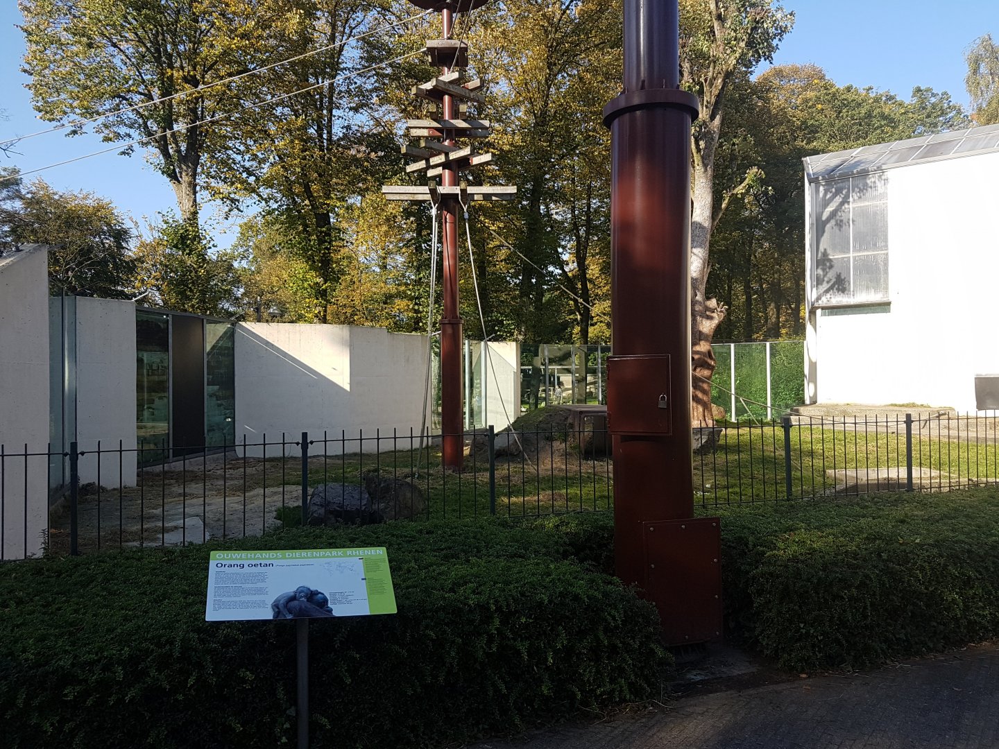 Orang utan-enclosure