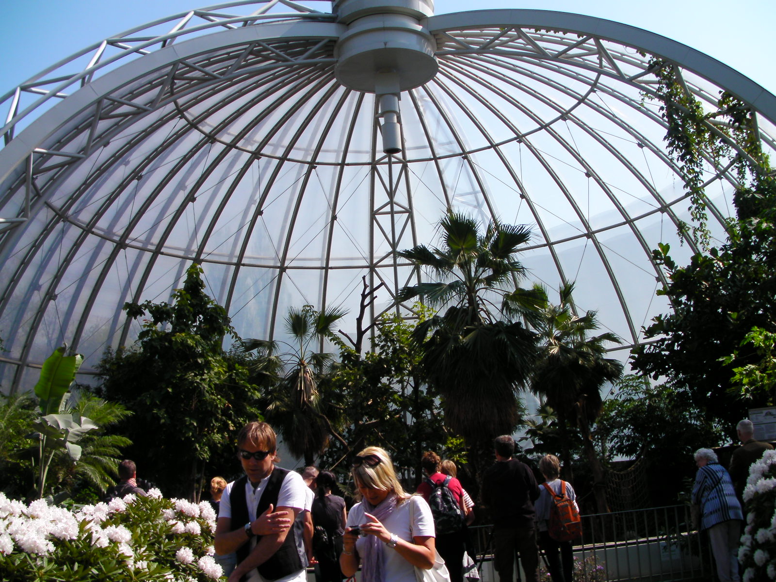 Orang-utan enclosure