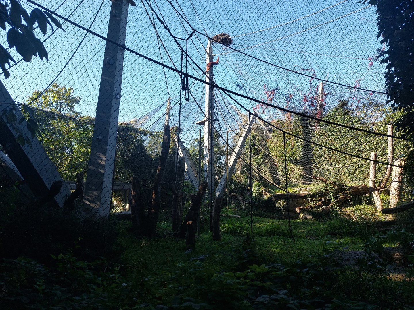 Orang utan enclosure