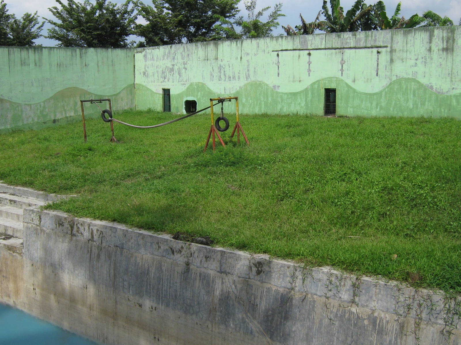 orang-utan enclosure
