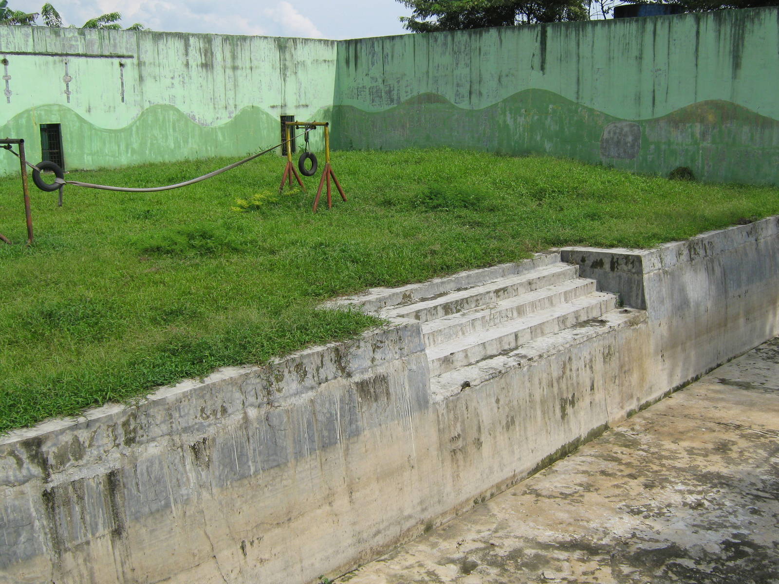 orang-utan enclosure