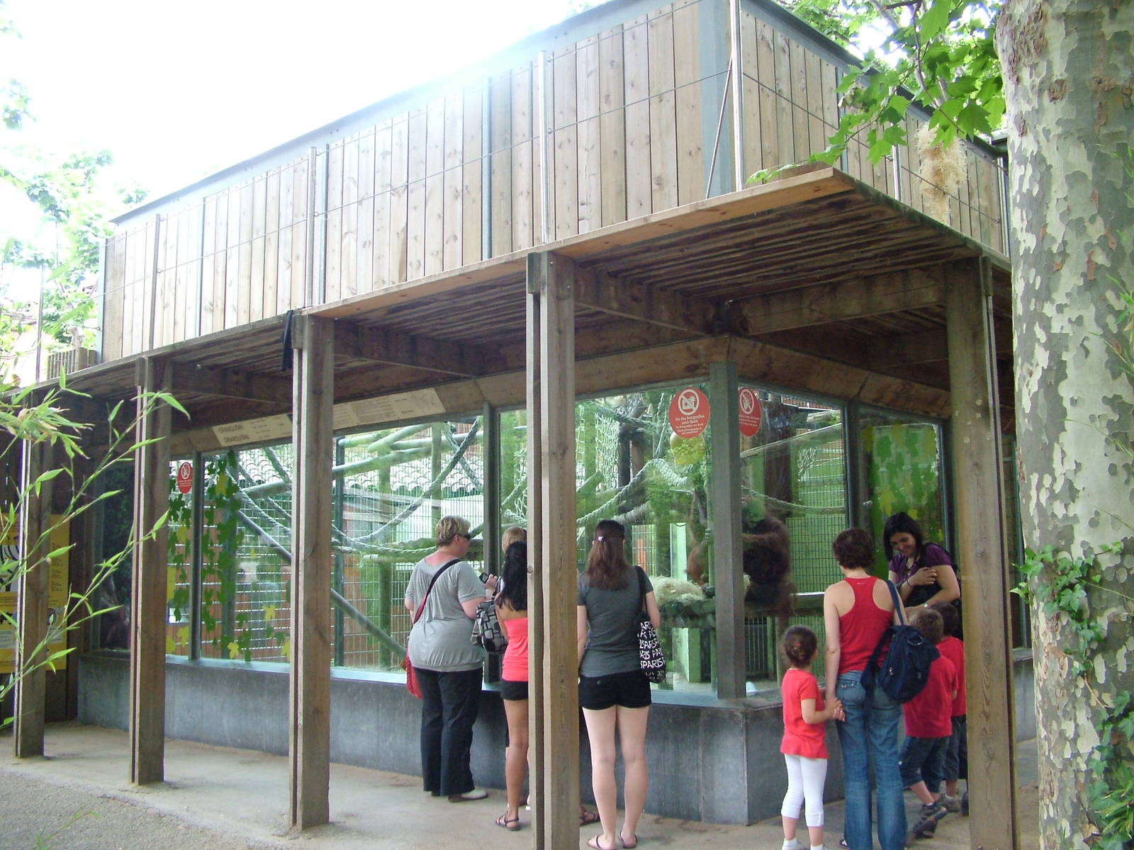 Orang-Utan Exhibit at Barcelona, 30/05/11