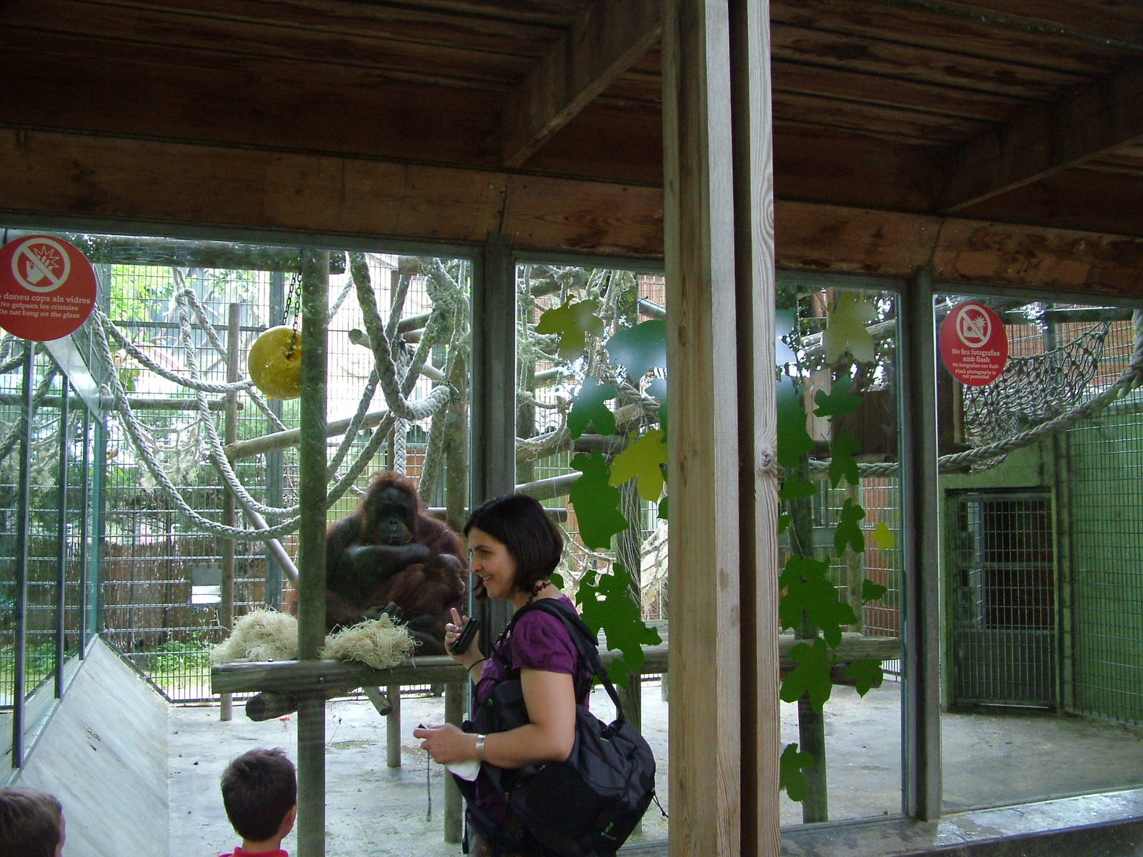 Orang-Utan Exhibit at Barcelona, 30/05/11