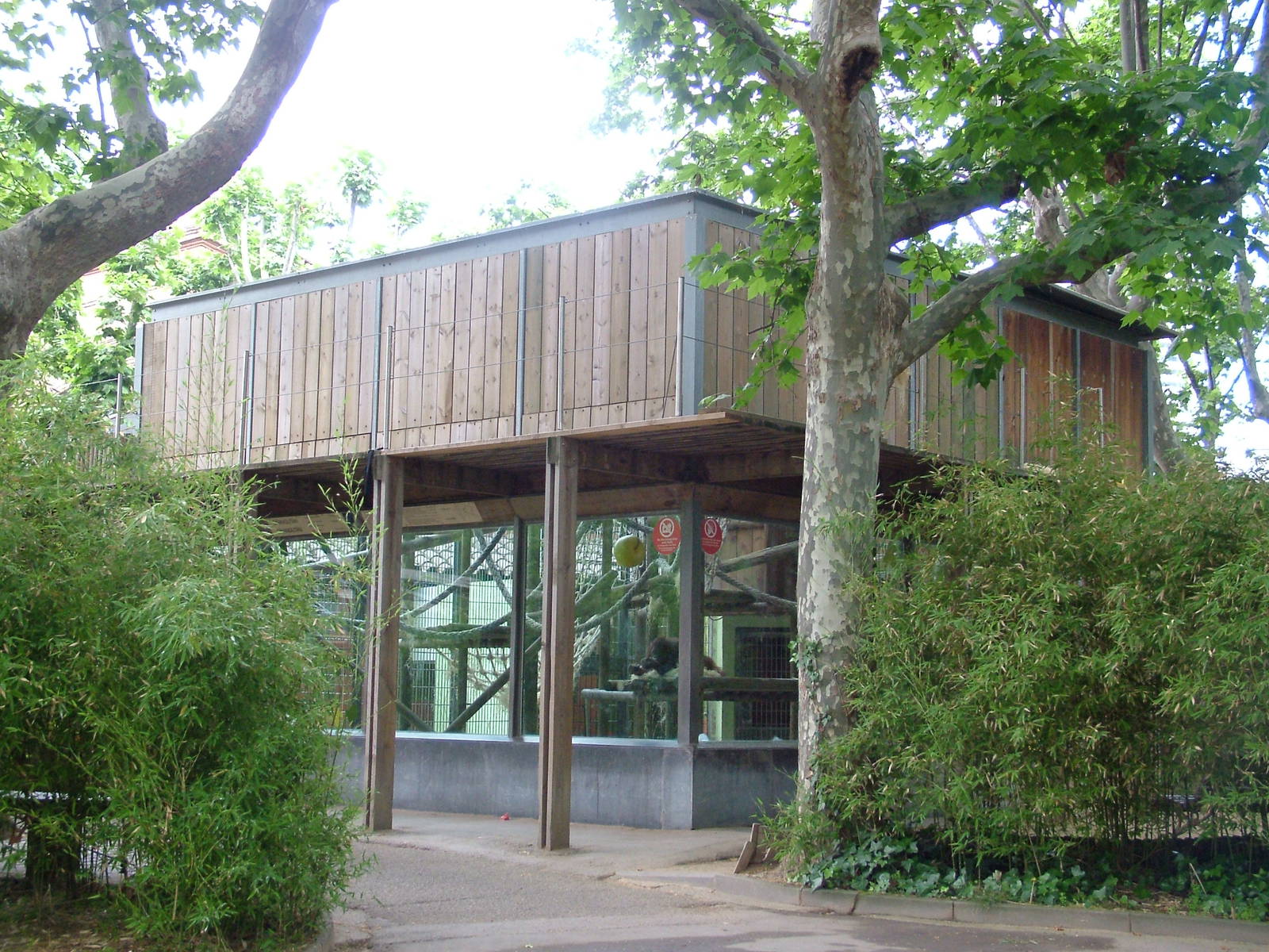 Orang-Utan Exhibit at Barcelona, 30/05/11
