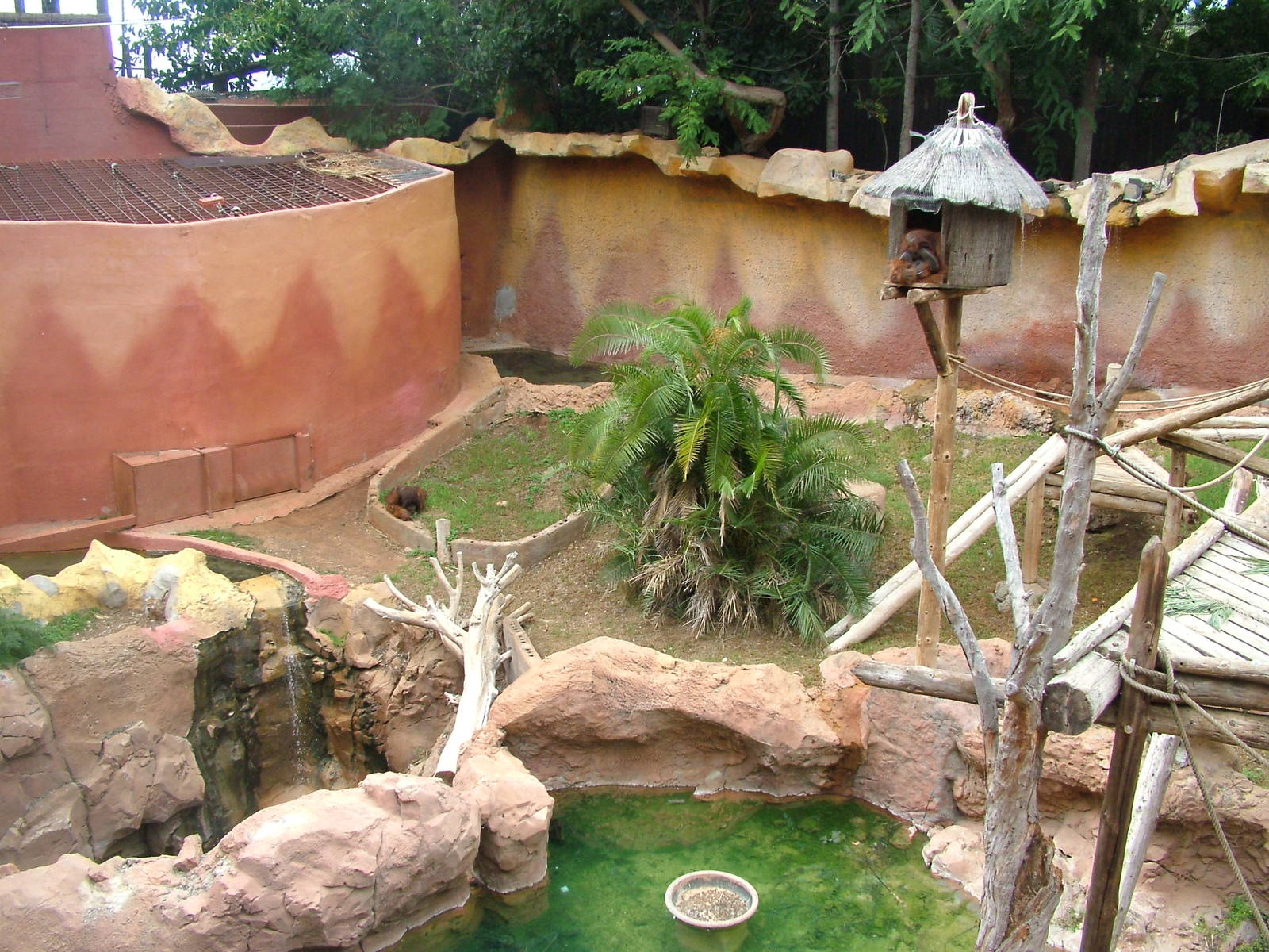 Orang-Utan Exhibit at Jungle Park (Las Aguilas), 13/11/10