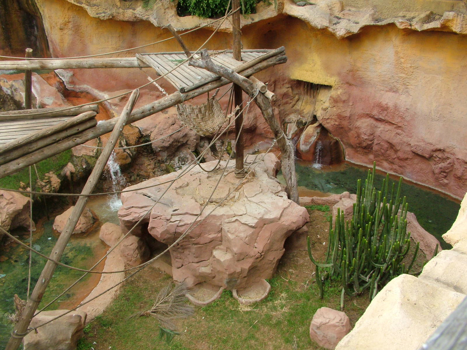 Orang-Utan Exhibit at Jungle Park (Las Aguilas), 13/11/10