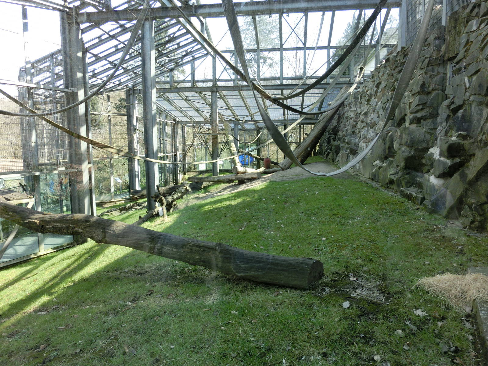 orang-utan exhibit - Zoo Neunkirchen