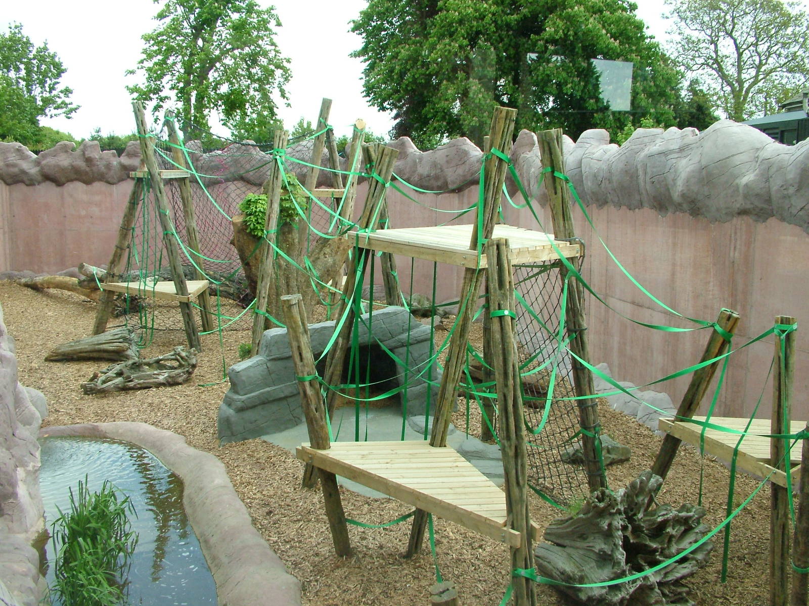 Orang-Utan Forest at Colchester 09/05/09