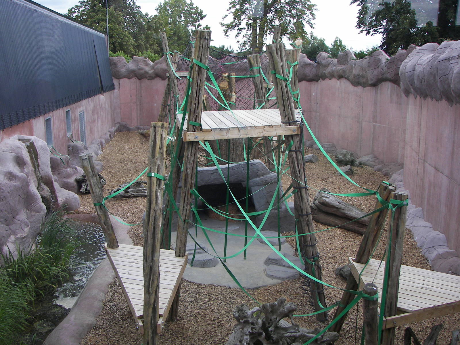 Orang-utan Forest outdoor