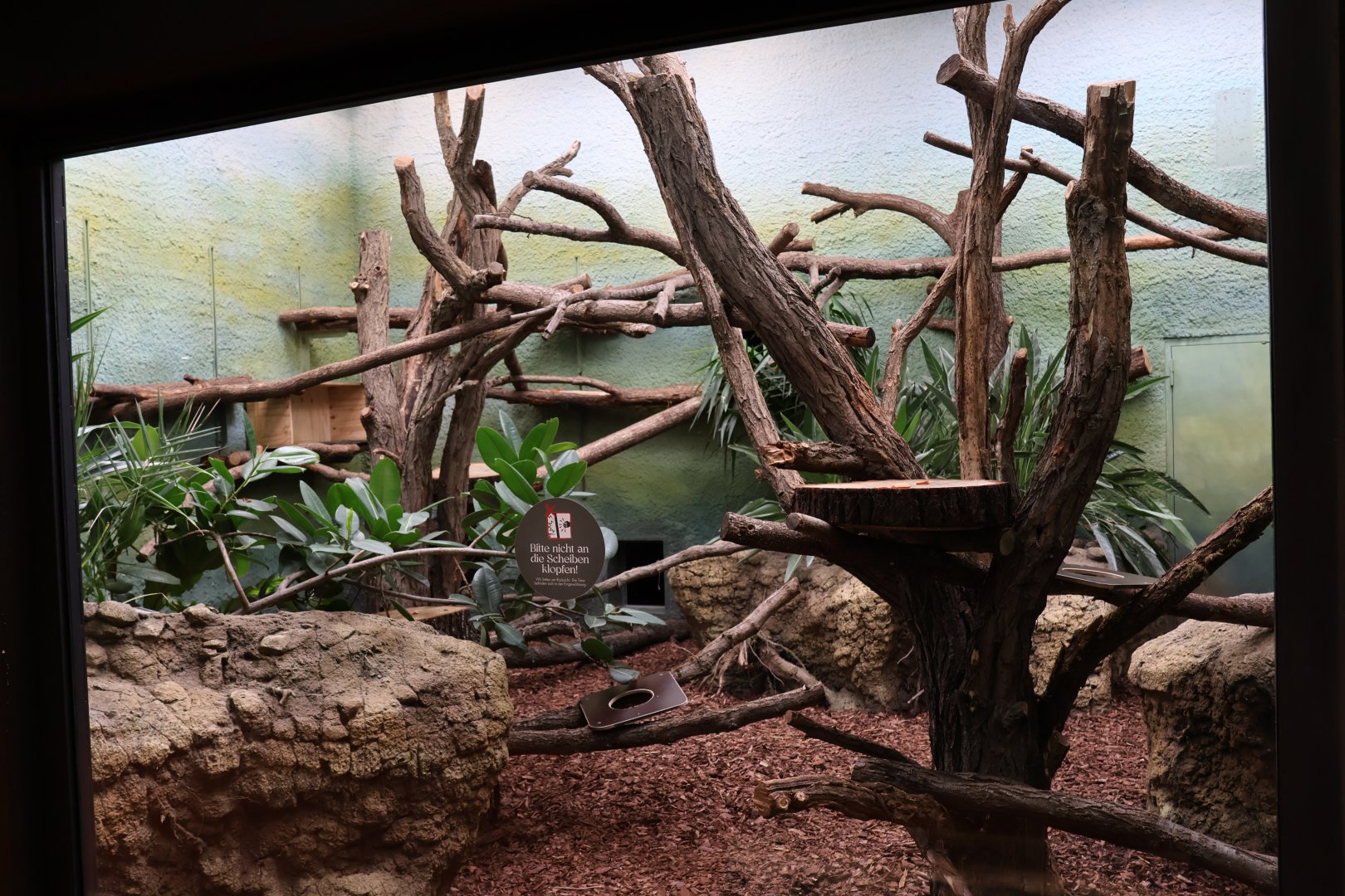 Orang-Utan Haus - Binturong enclosure