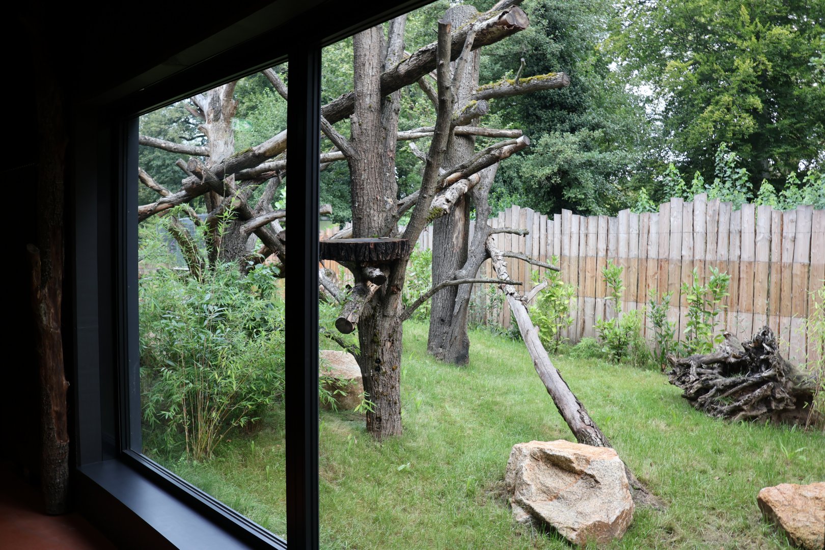 Orang-Utan Haus - Binturong enclosure