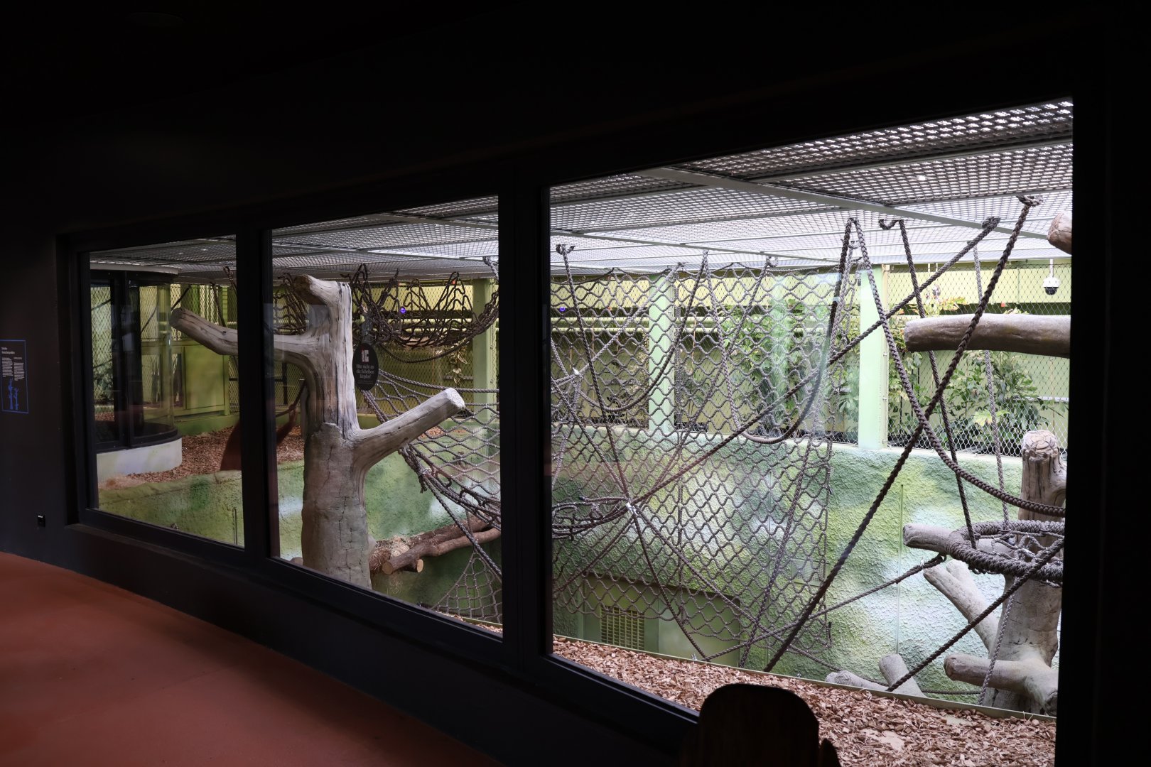Orang-Utan Haus - First floor