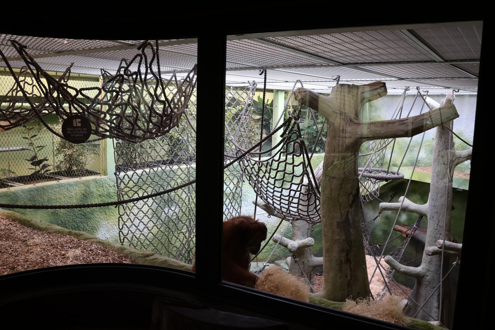 Orang-Utan Haus - First floor