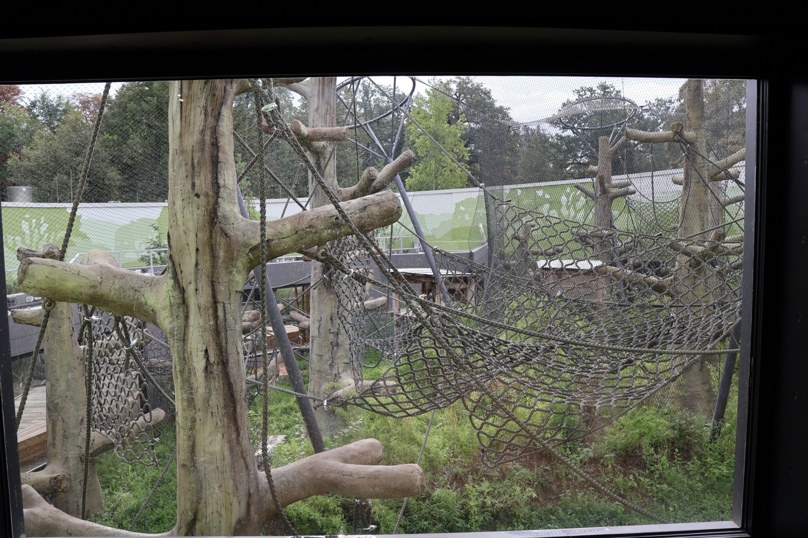 Orang-Utan Haus - First floor