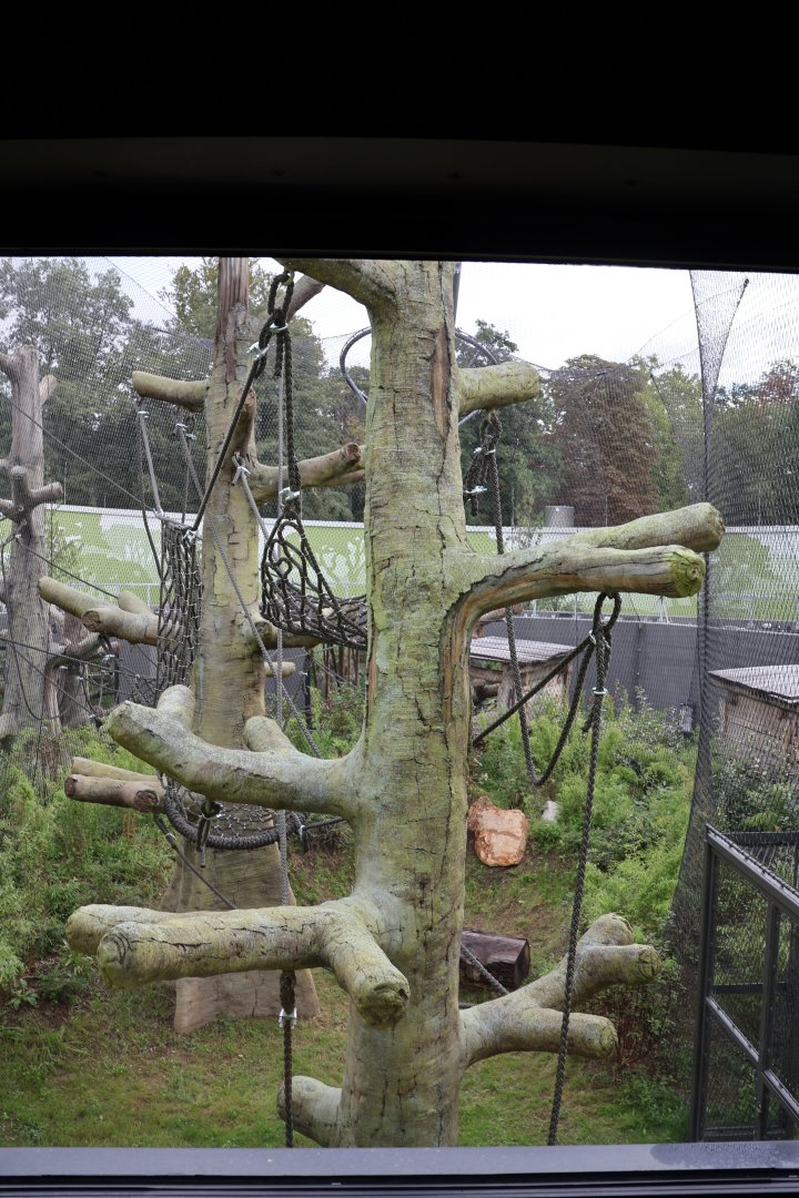 Orang-Utan Haus - First floor