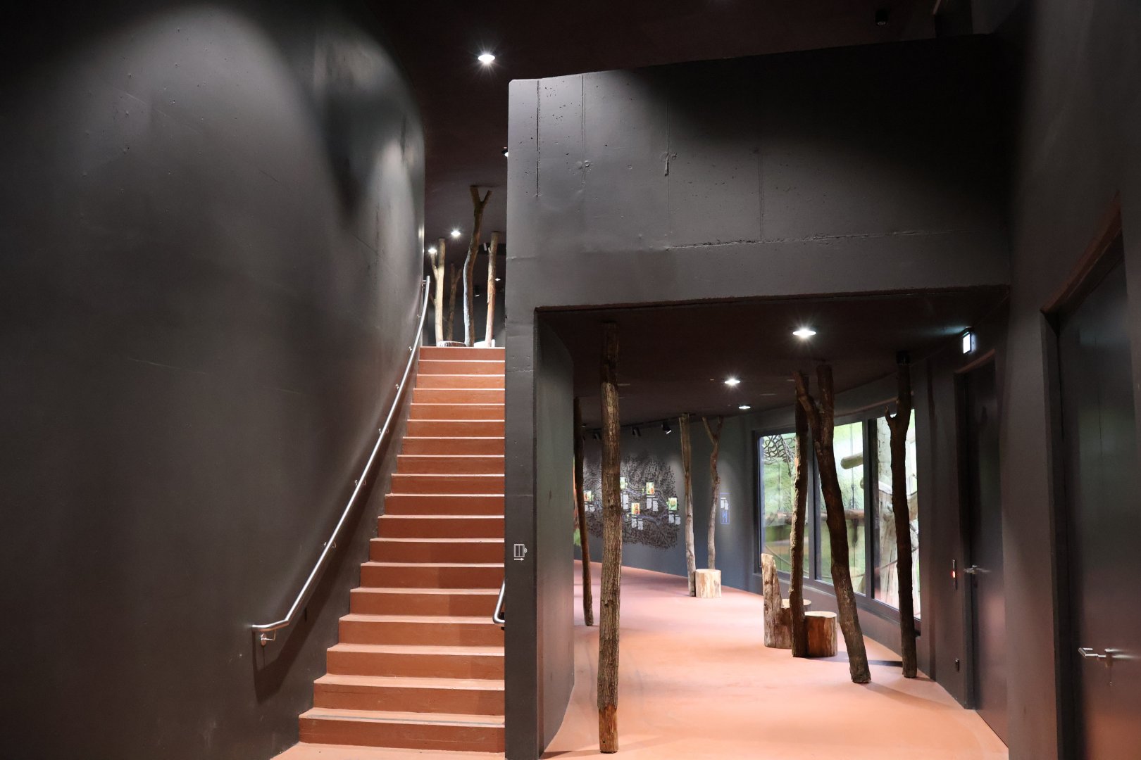 Orang-Utan Haus - General view