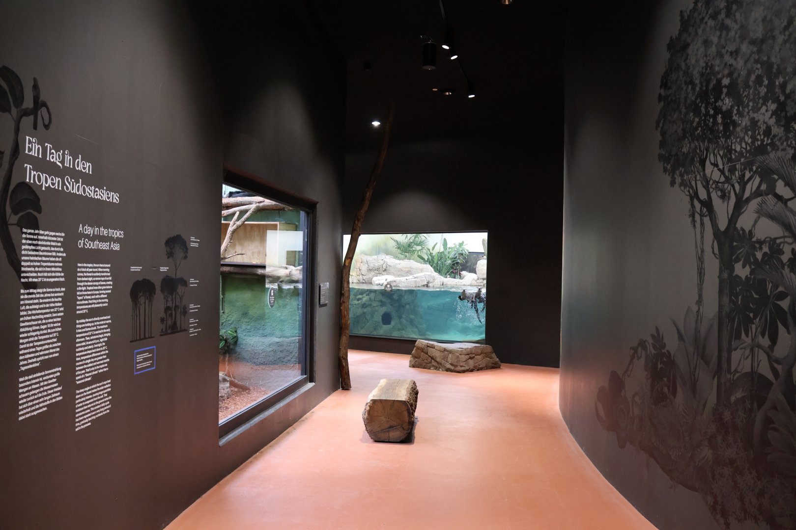 Orang-Utan Haus - General view