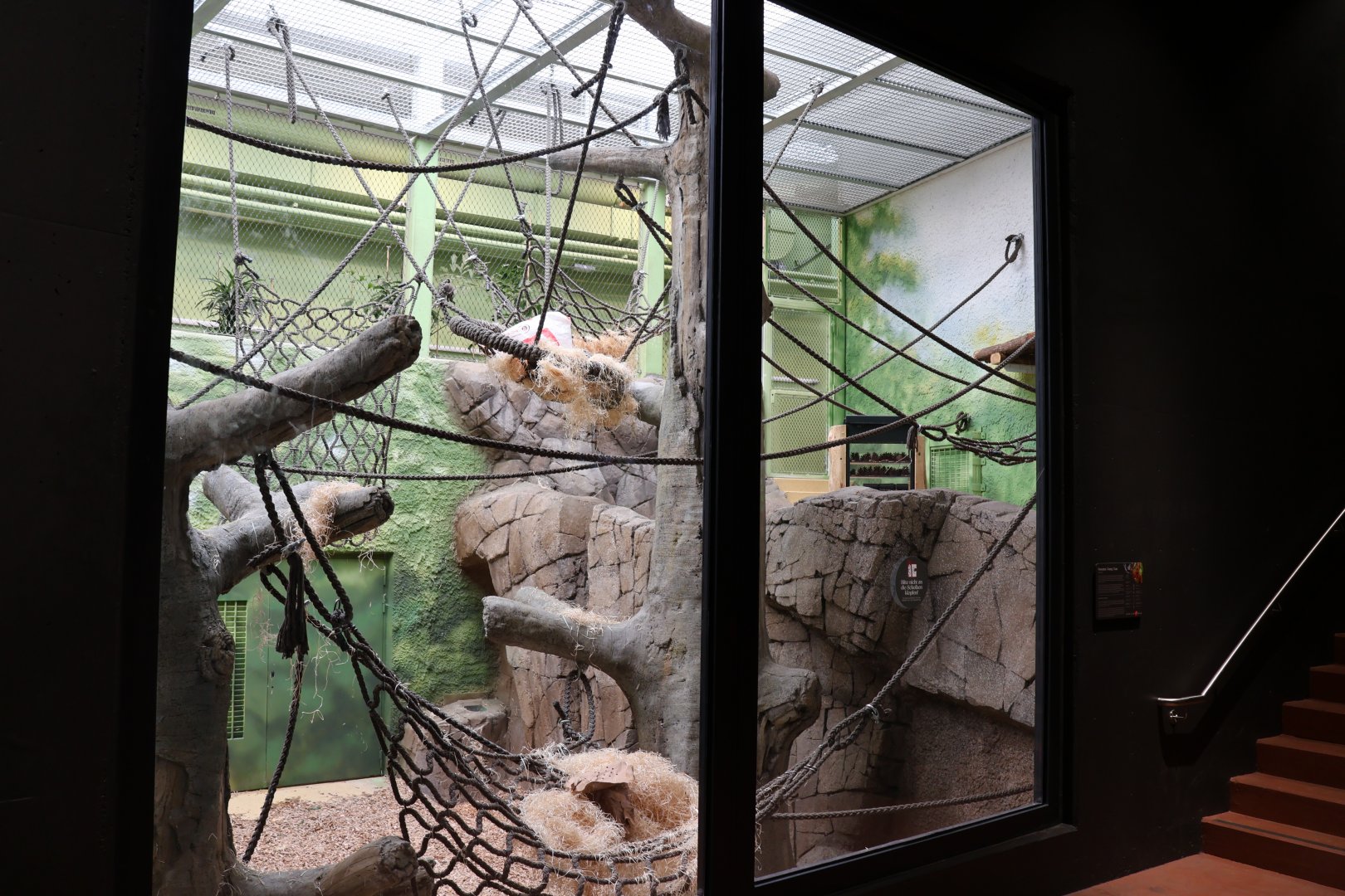 Orang-Utan Haus - Ground floor