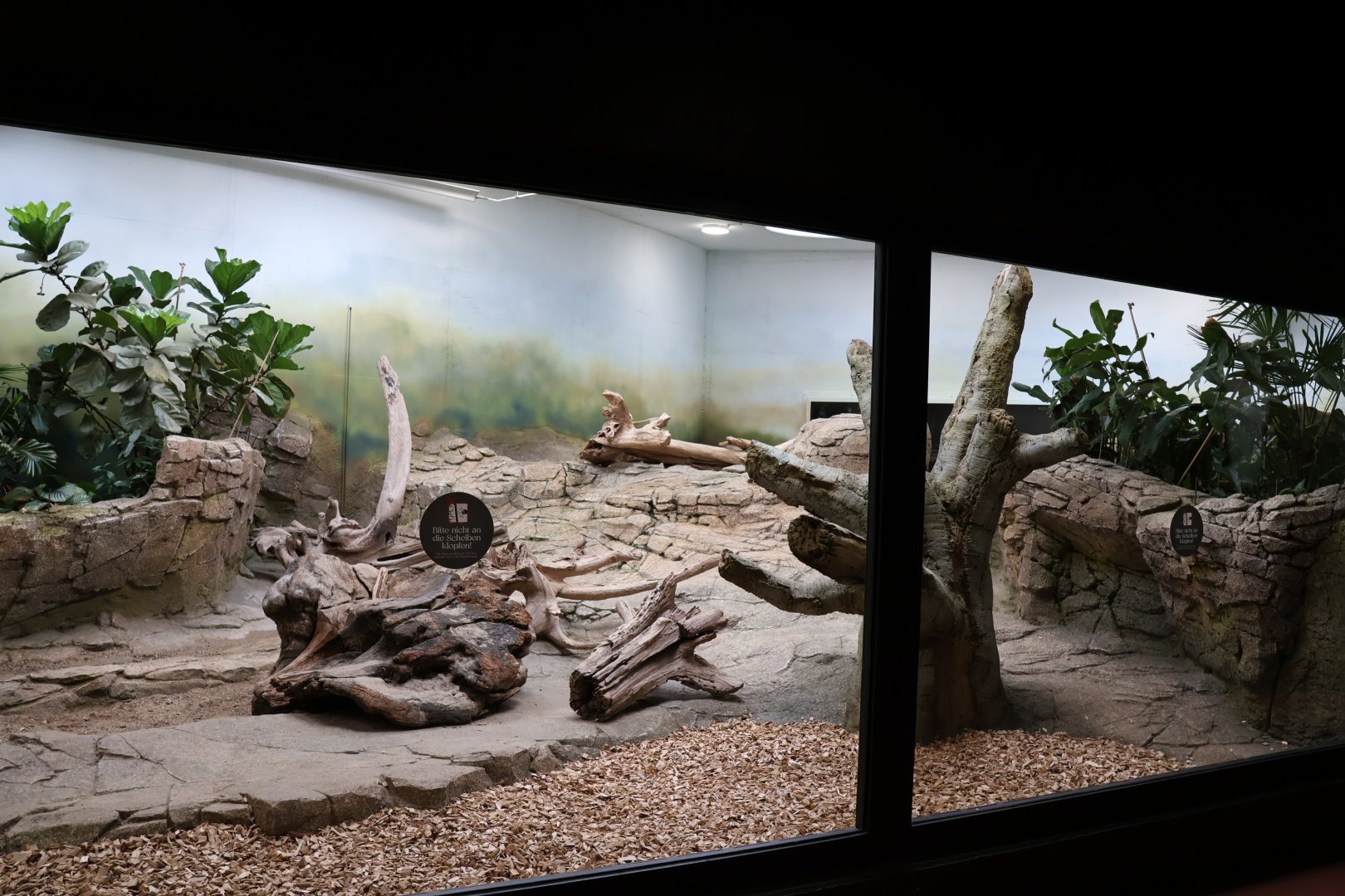 Orang-Utan Haus - Indochinese Smooth-coated otter enclosure