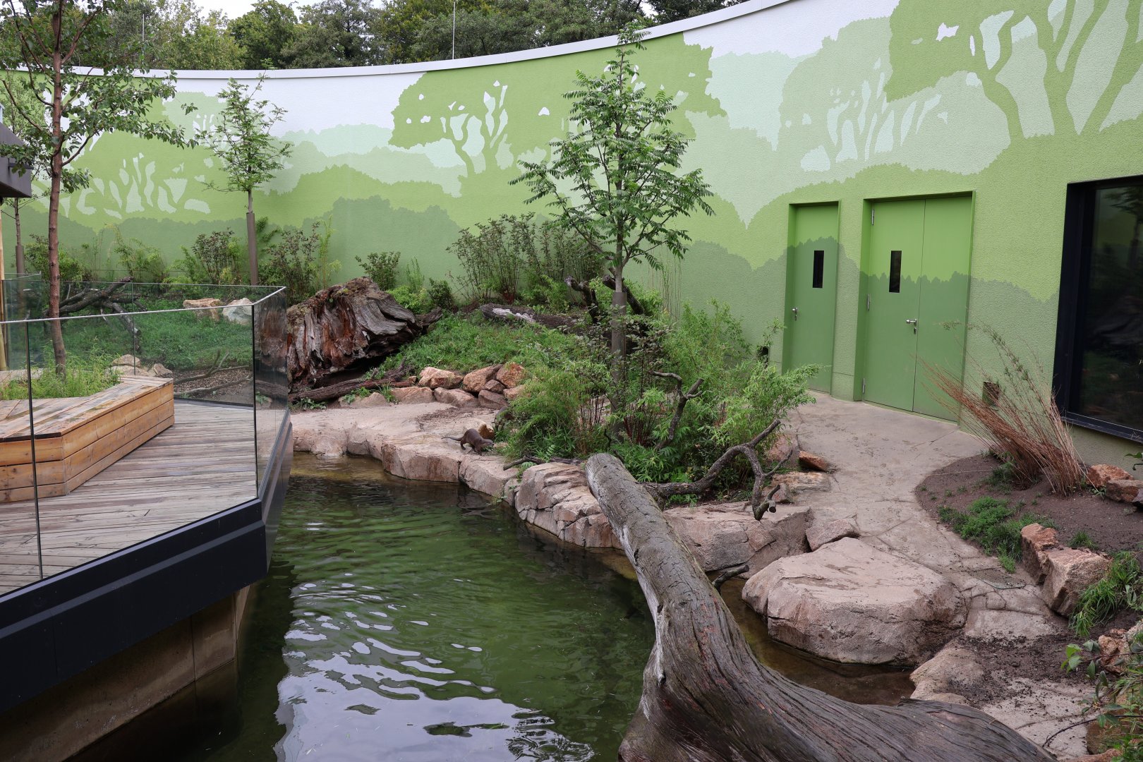 Orang-Utan Haus - Indochinese Smooth-coated Otter enclosure