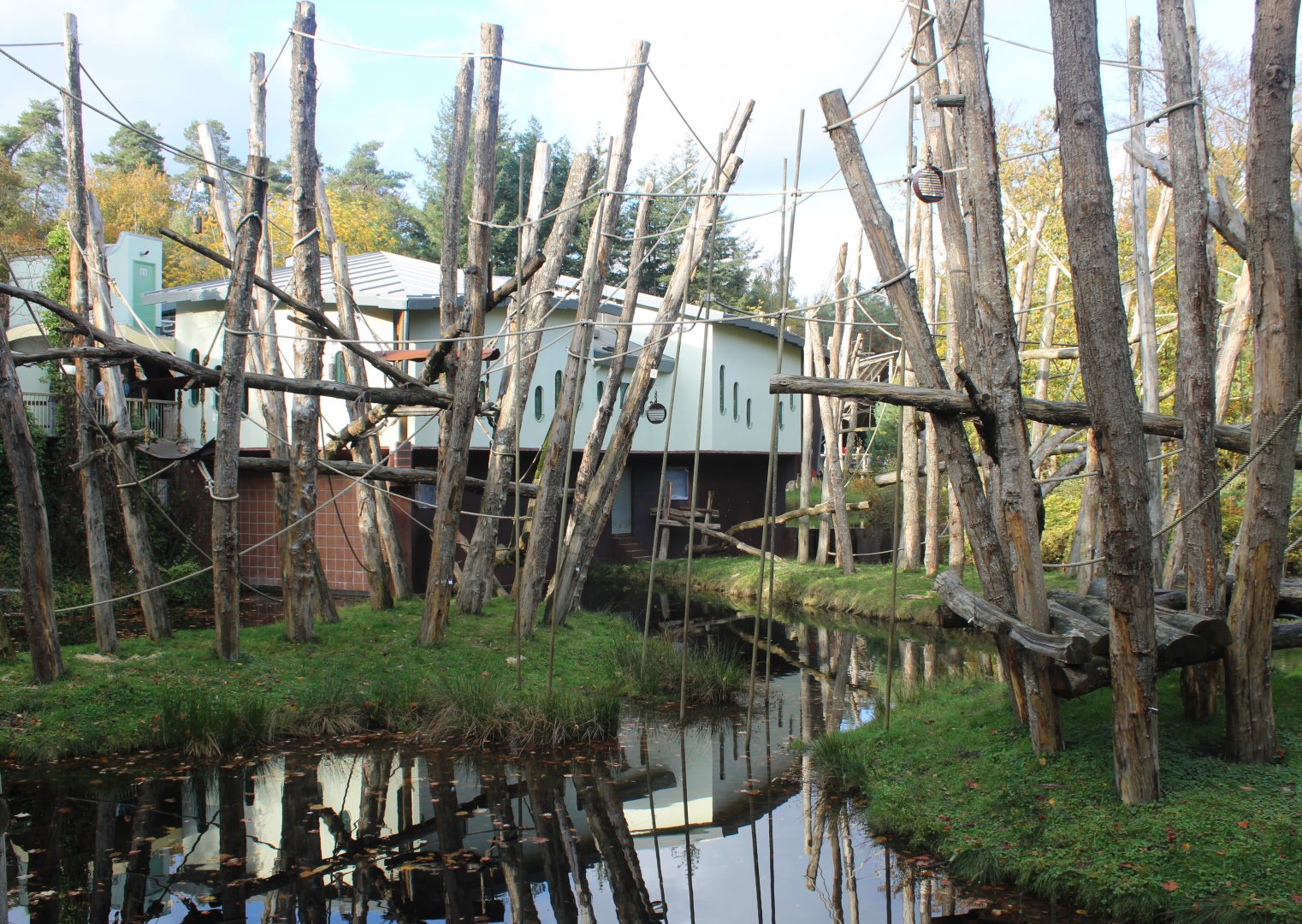 Orang utan house and islands