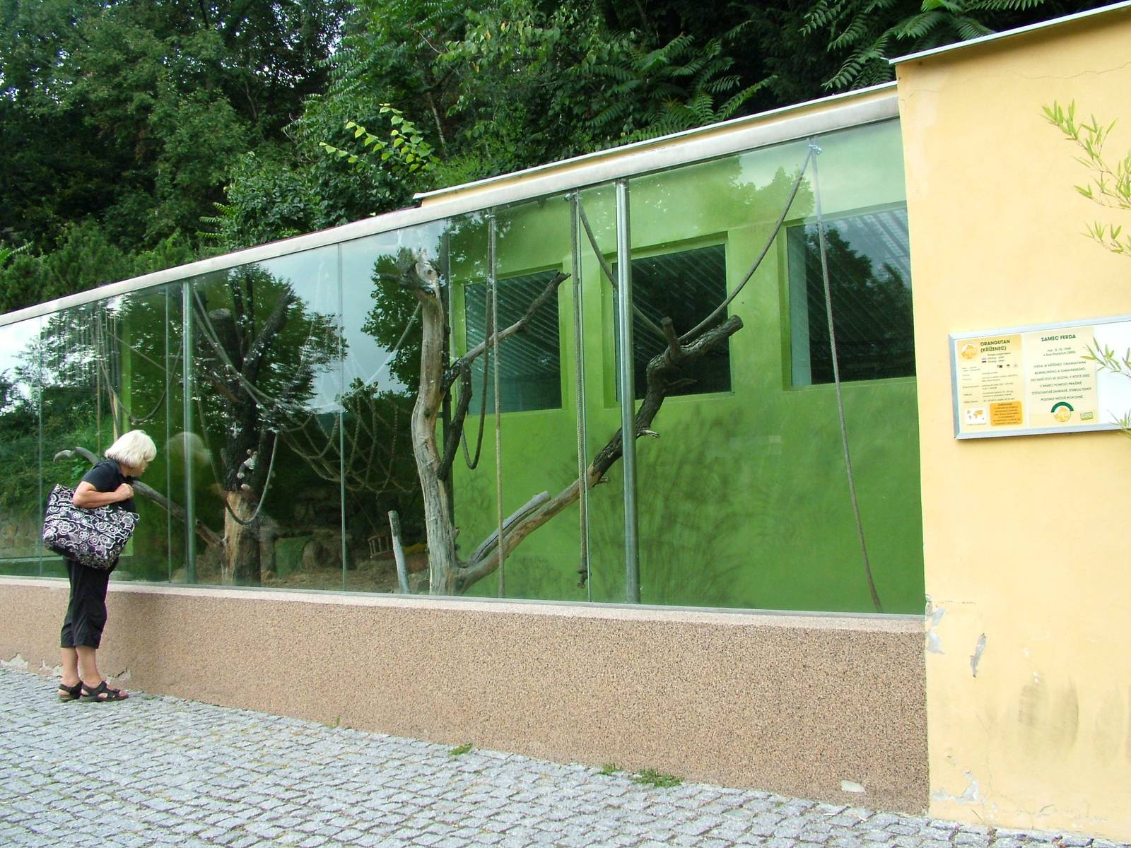 Orang-Utan House at Usti, 29/08/12