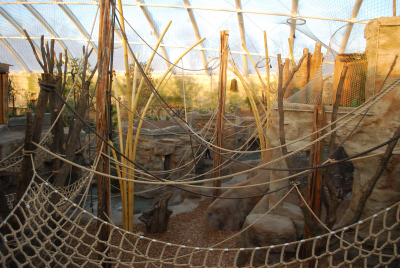 Orang-Utan indoor enclosure 1