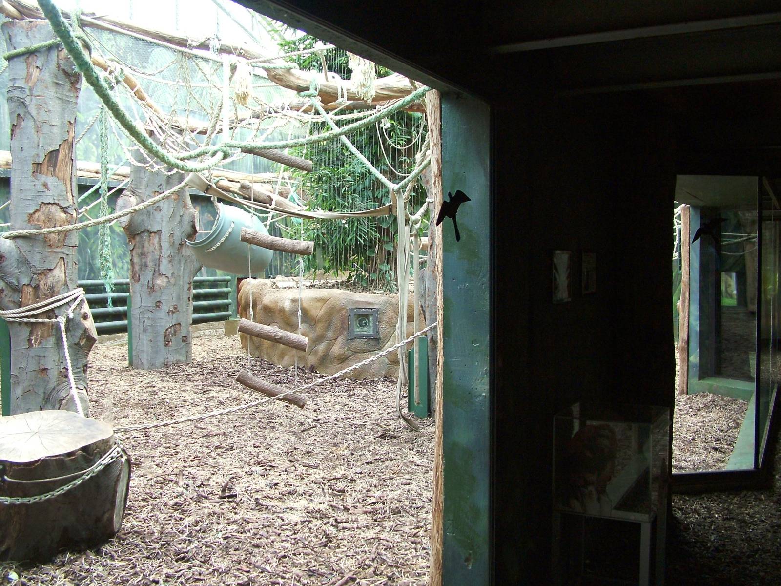 Orang-Utan Indoor Exhibit at Dvur Kralove, 27/08/12