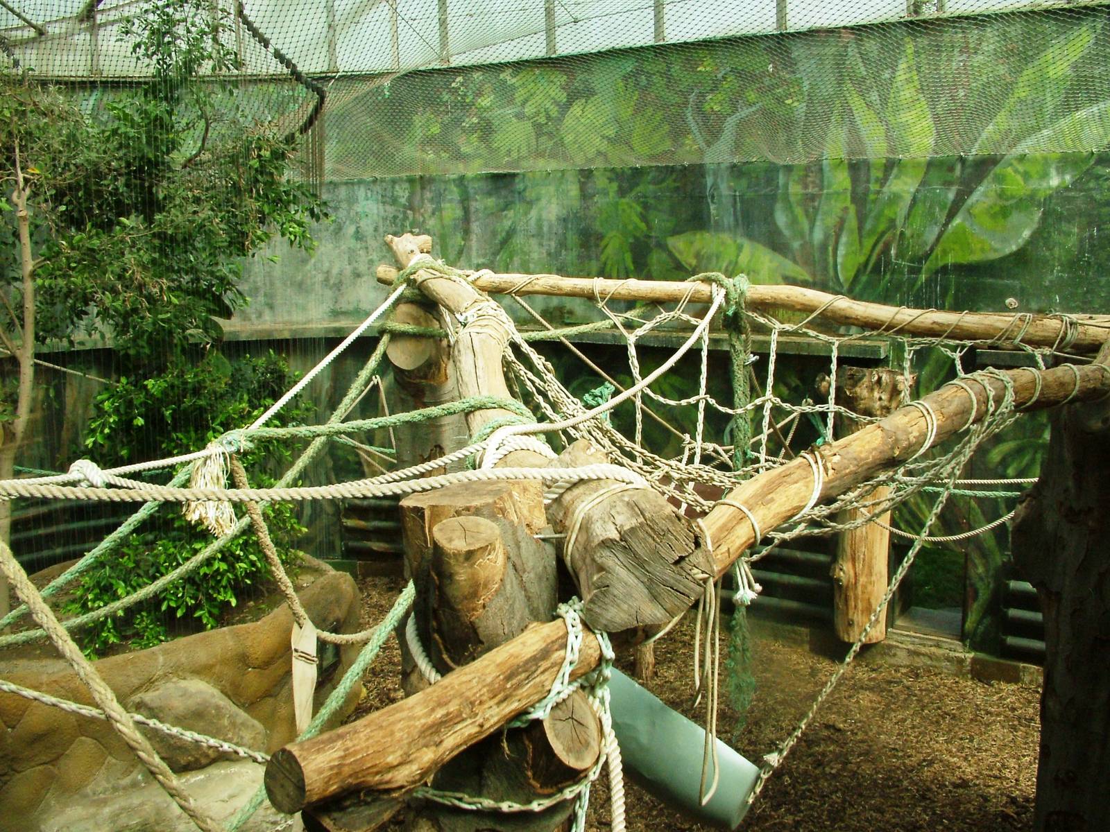 Orang-Utan Indoor Exhibit at Dvur Kralove, 27/08/12