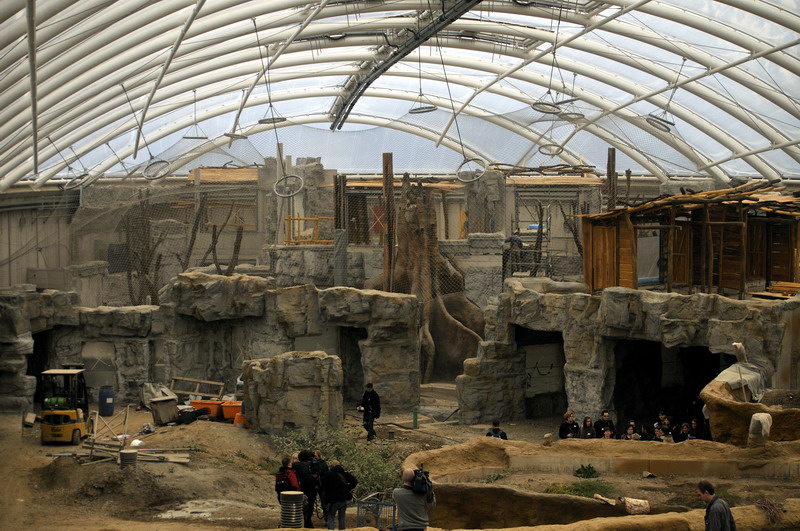Orang-Utan indoors at ZOOM Asien