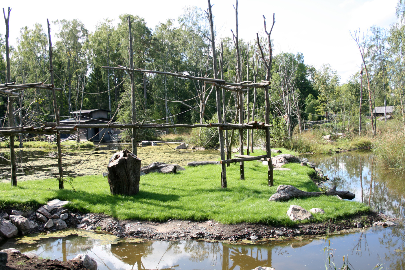 Orang-utan island - Furuvik