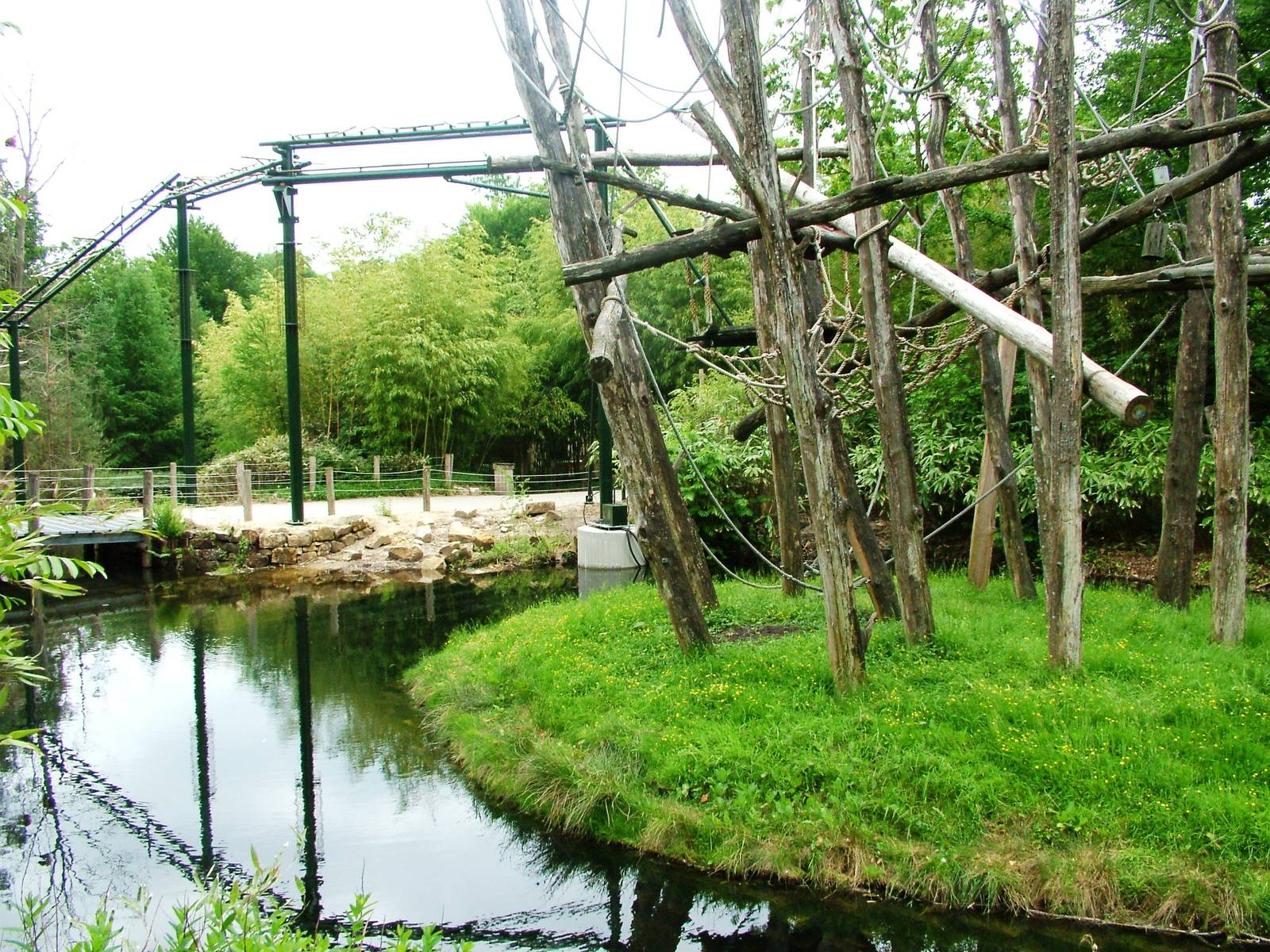 Orang-Utan Islands at Apenheul, 30/05/12