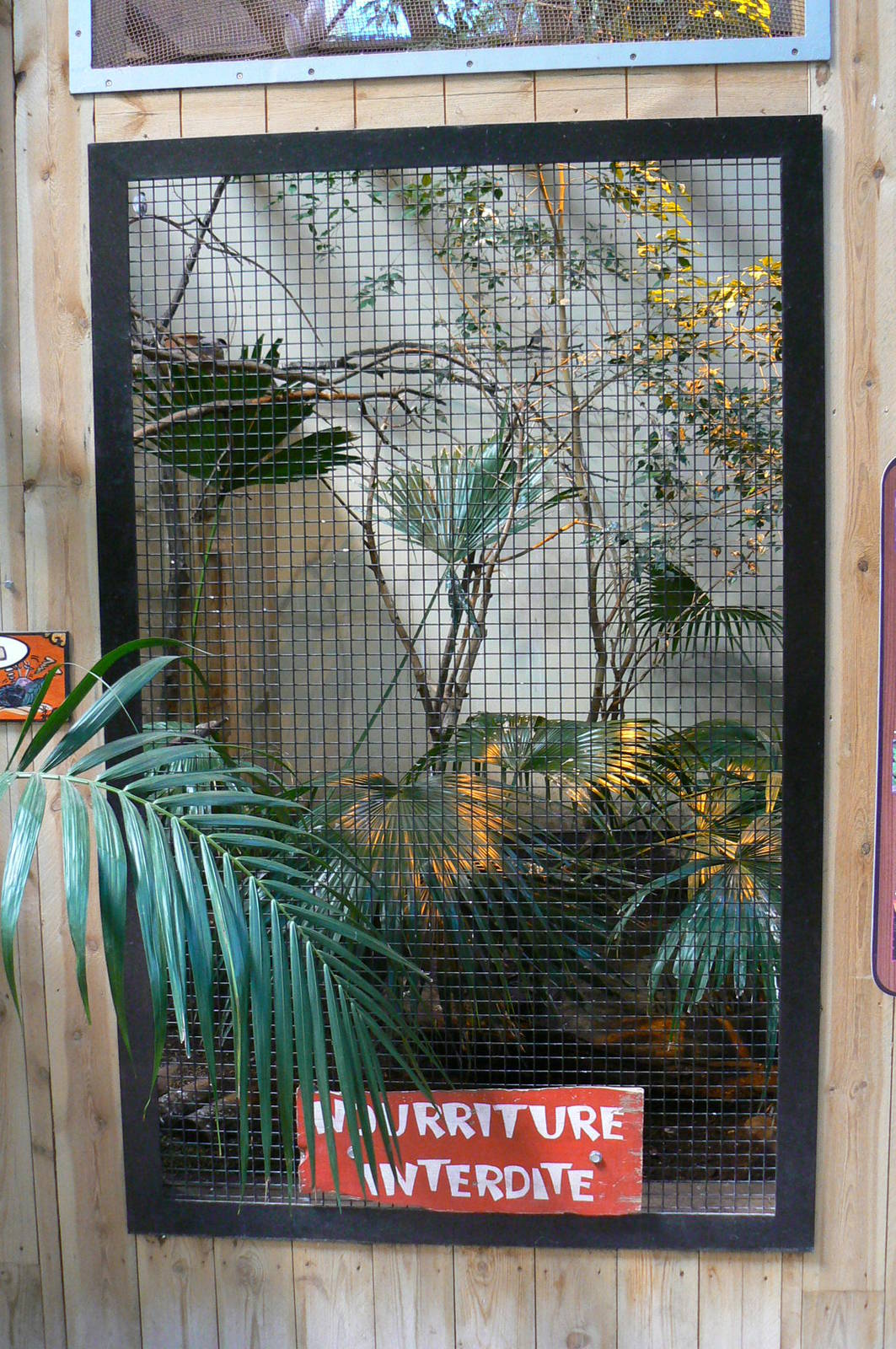 Orang-utan jungle - Bali mynah and crested wood partridge aviary