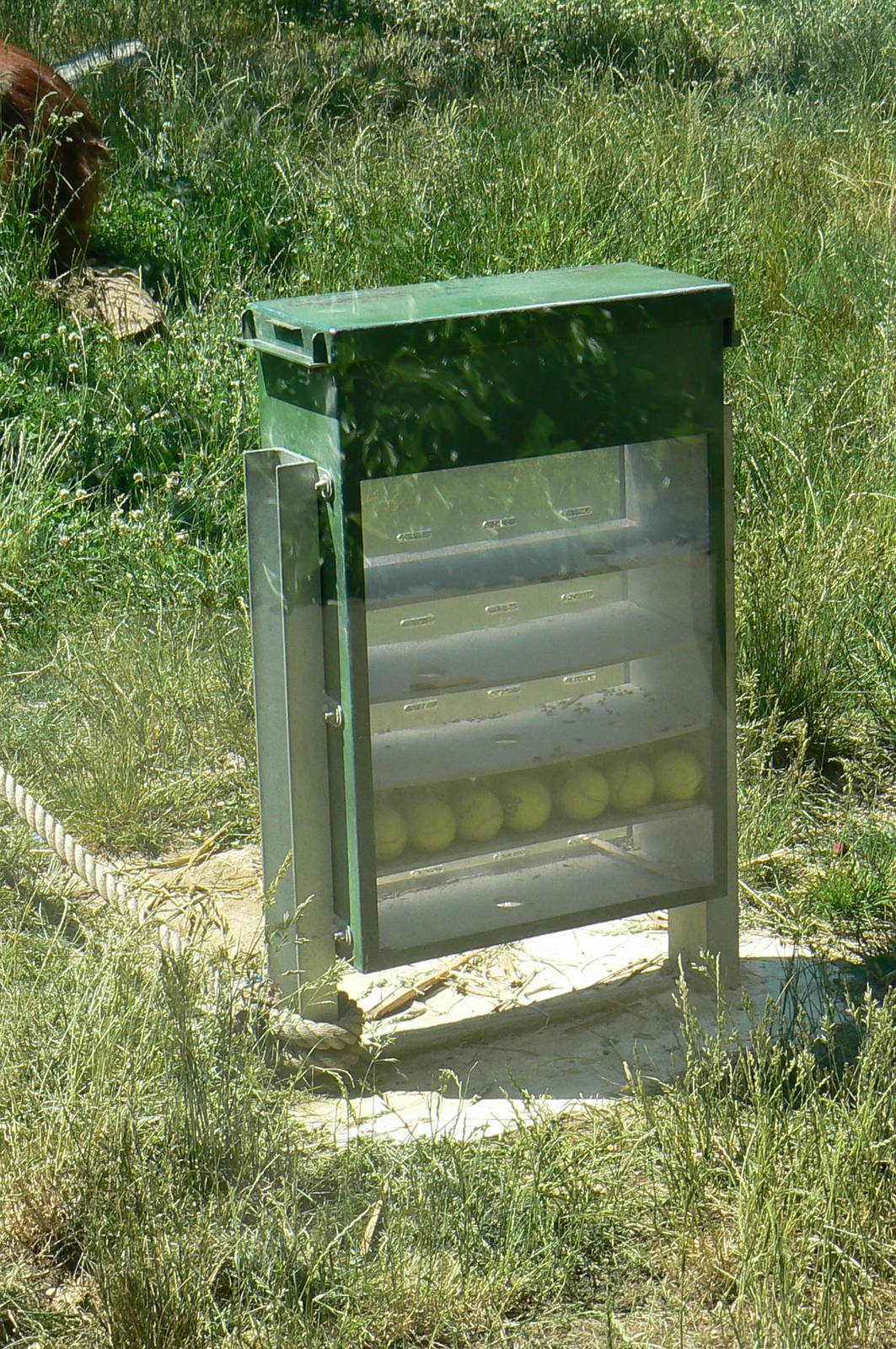 Orang-utan jungle - Enrichment