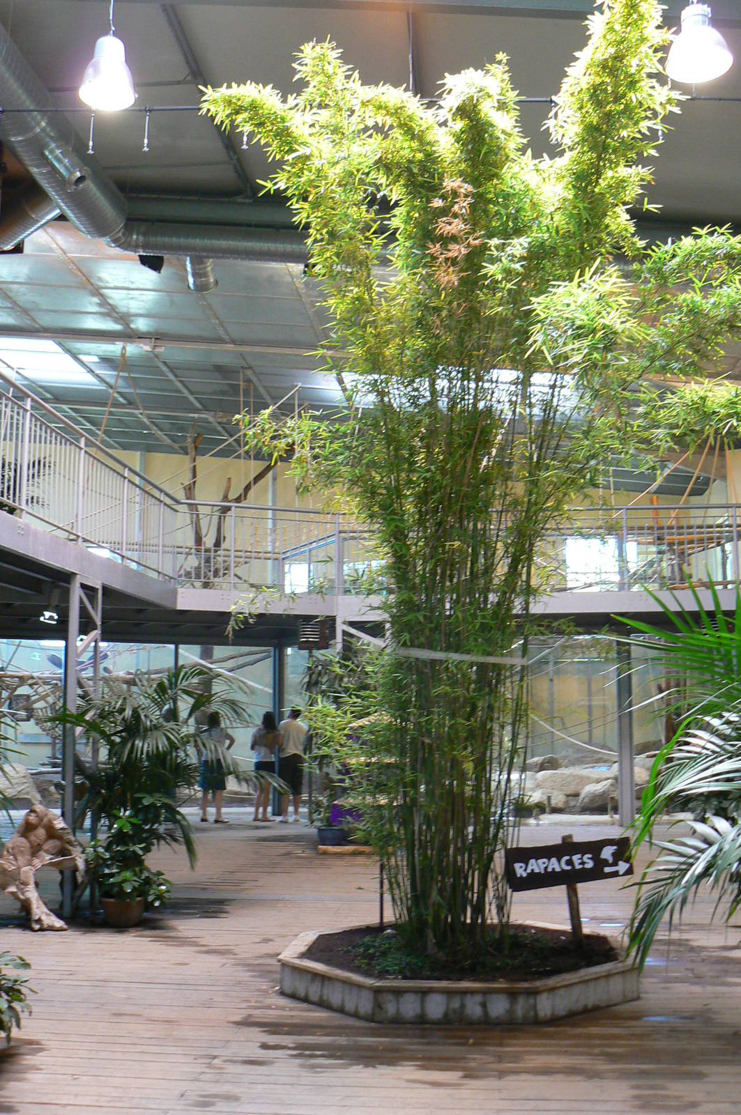 Orang-utan jungle - House general view