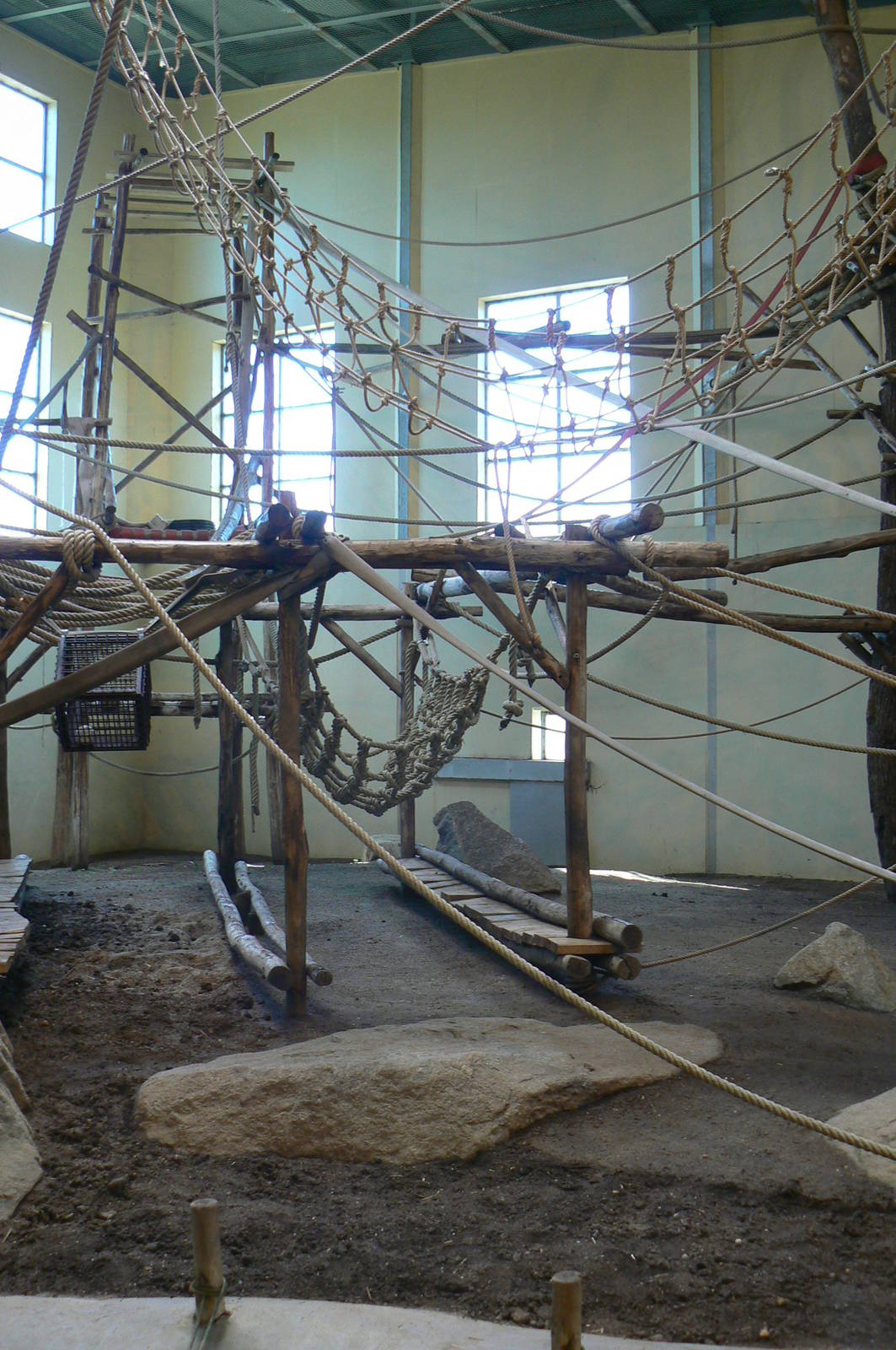 Orang-utan jungle - Main indoor enclosure