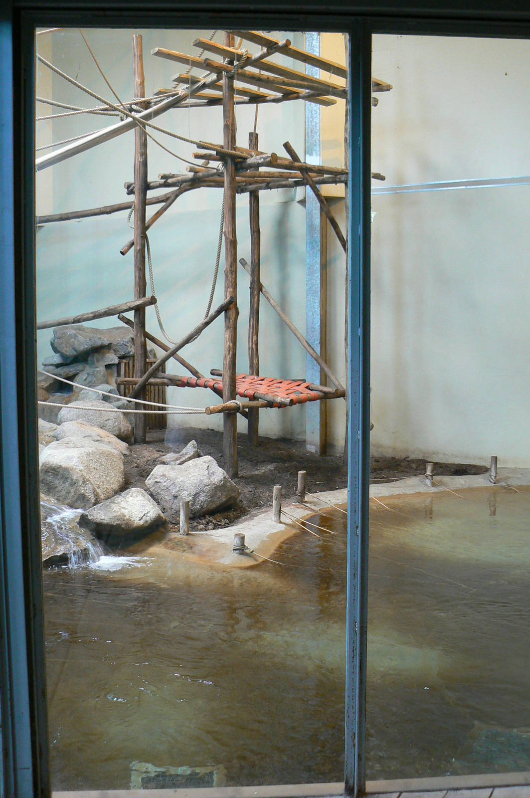 Orang-utan jungle - Main indoor enclosure