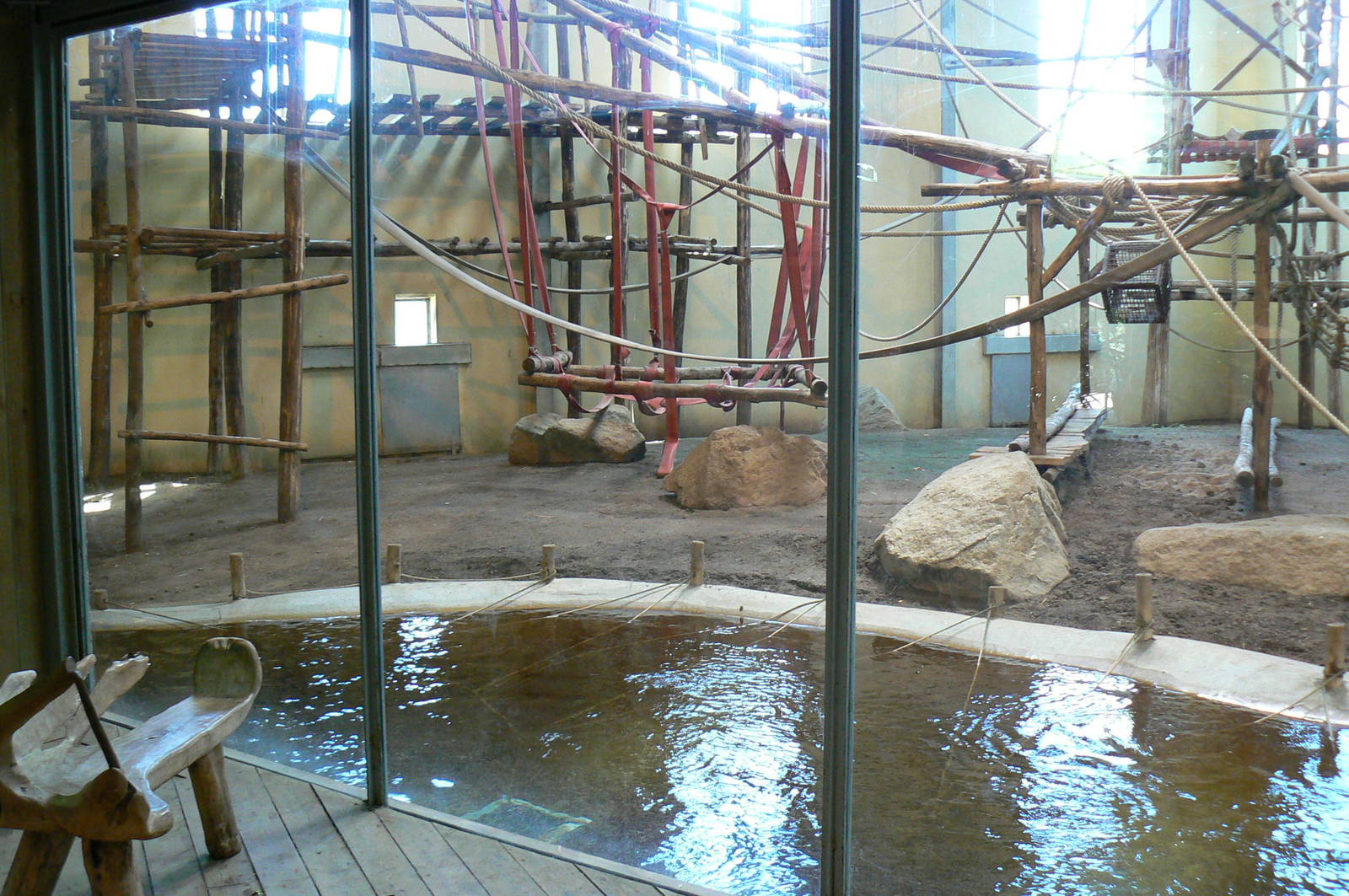 Orang-utan jungle - Main indoor enclosure