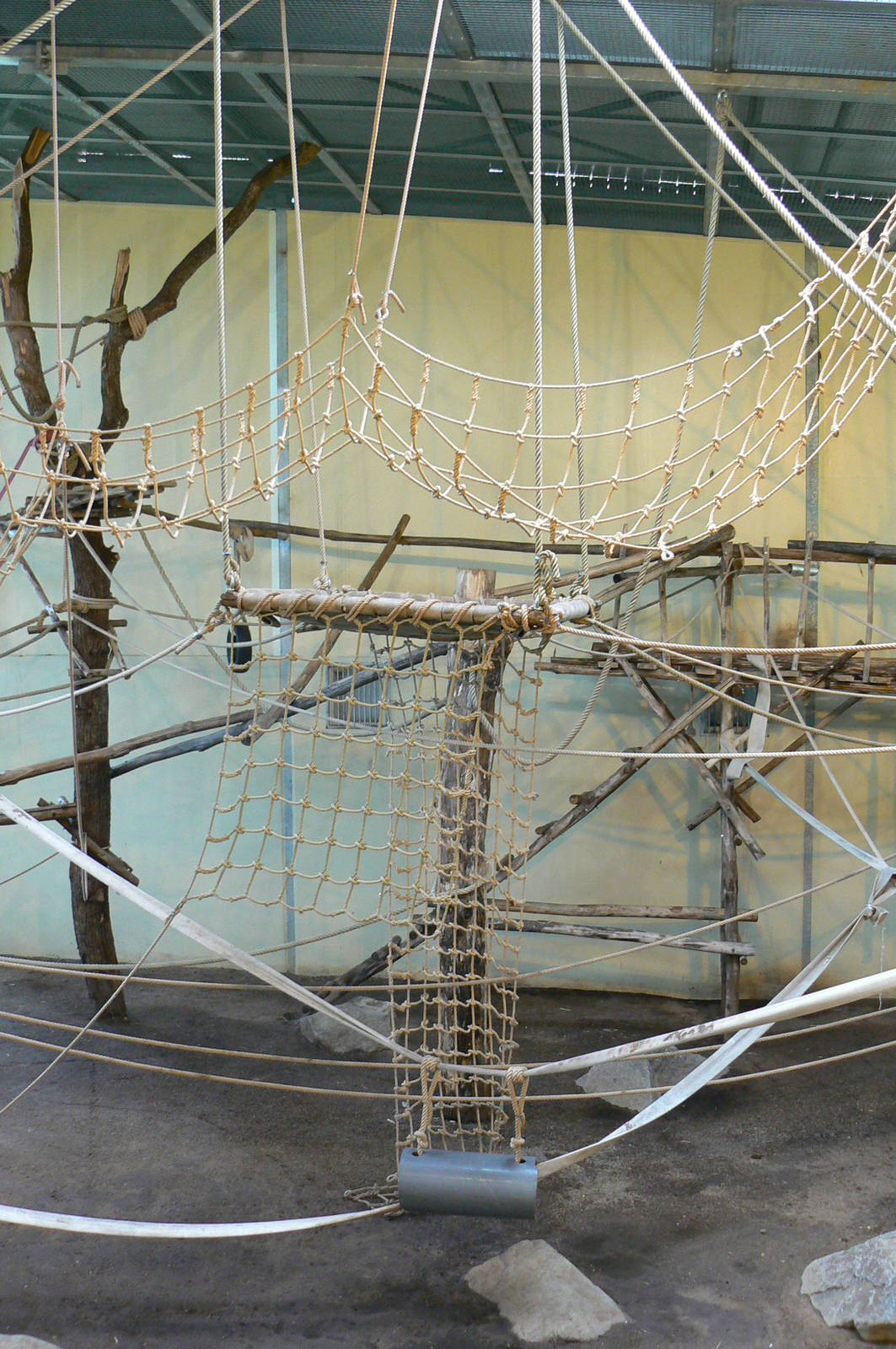 Orang-utan jungle - Main indoor enclosure