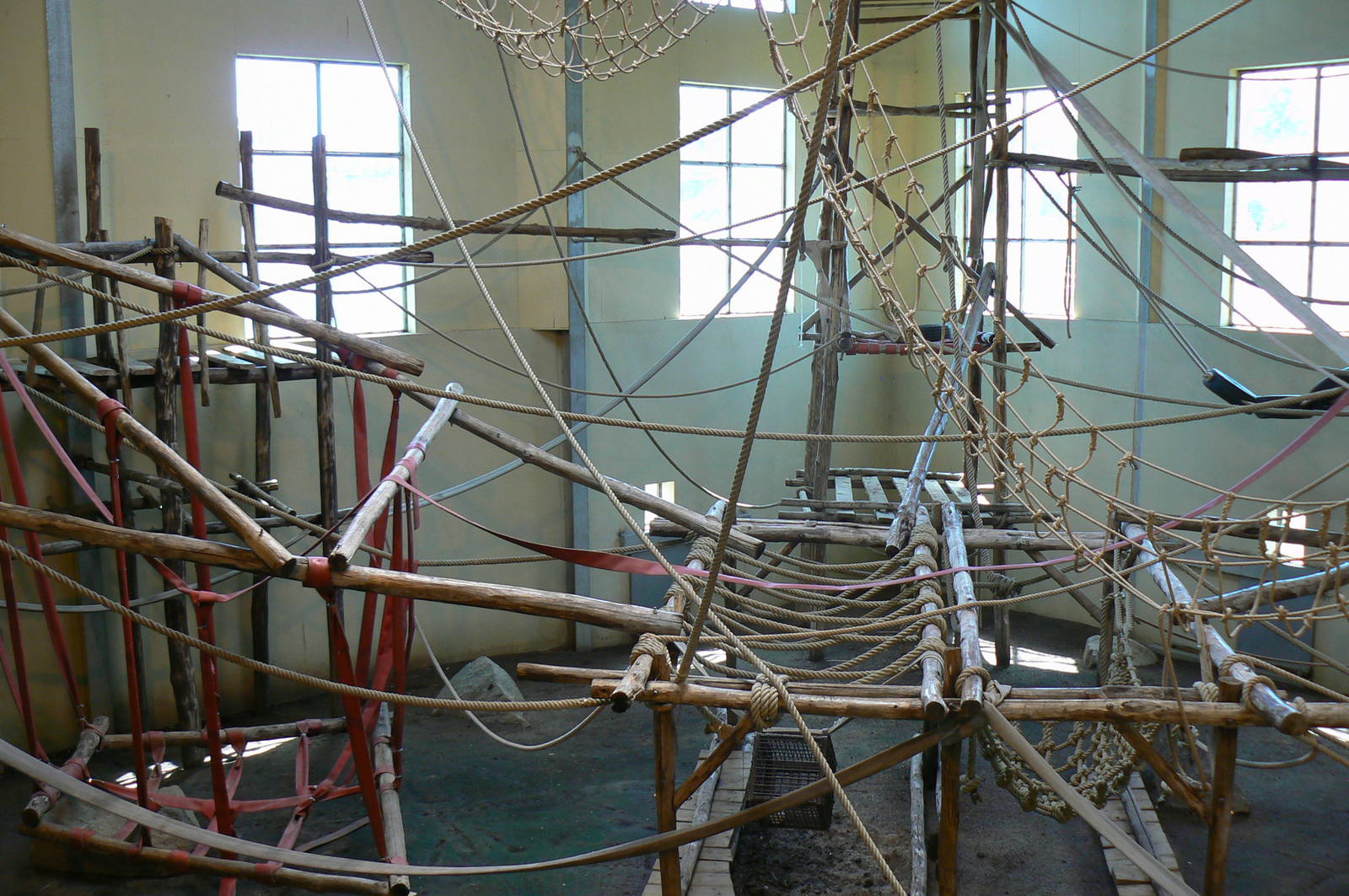 Orang-utan jungle - Main indoor enclosure