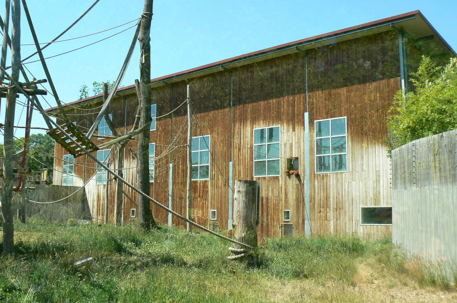 Orang-utan jungle - Orangutans house