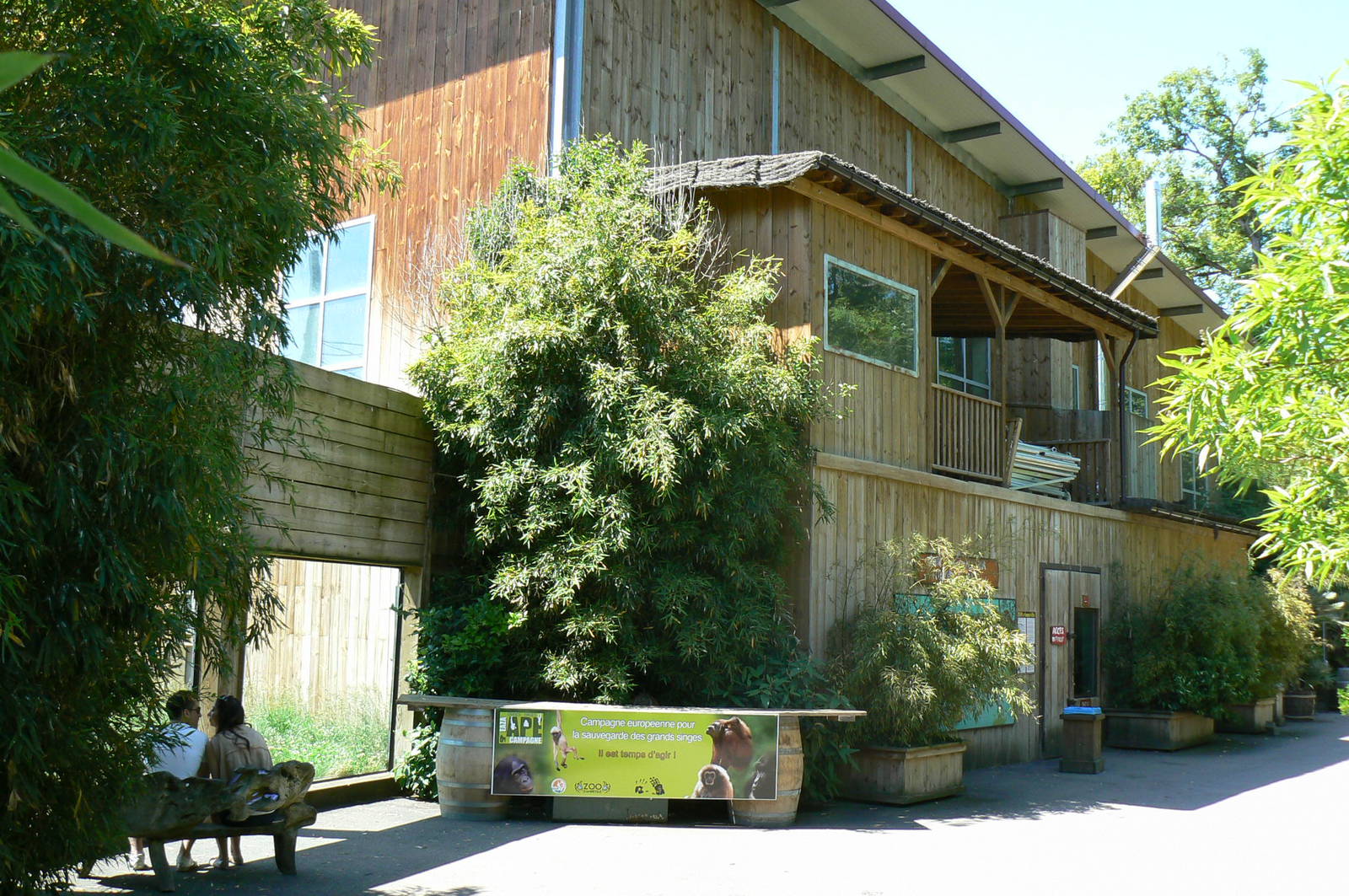 Orang-utan jungle - Orangutans house