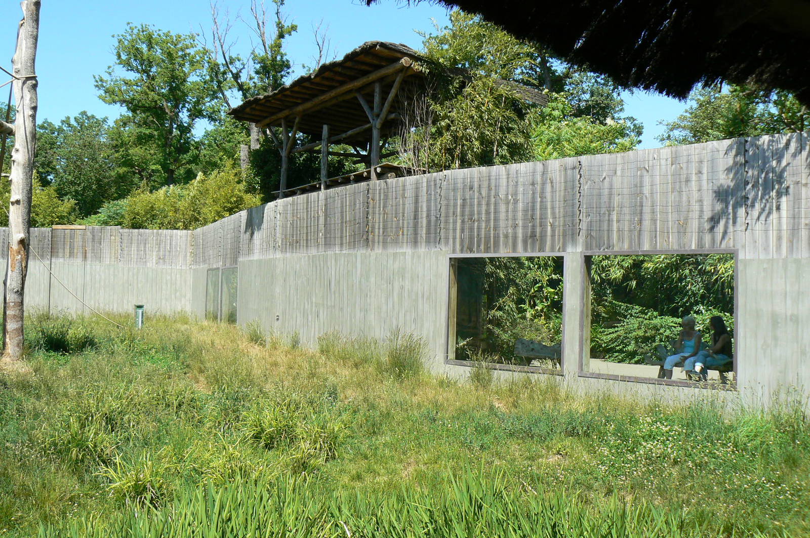 Orang-utan jungle - Outdoor enclosure fence