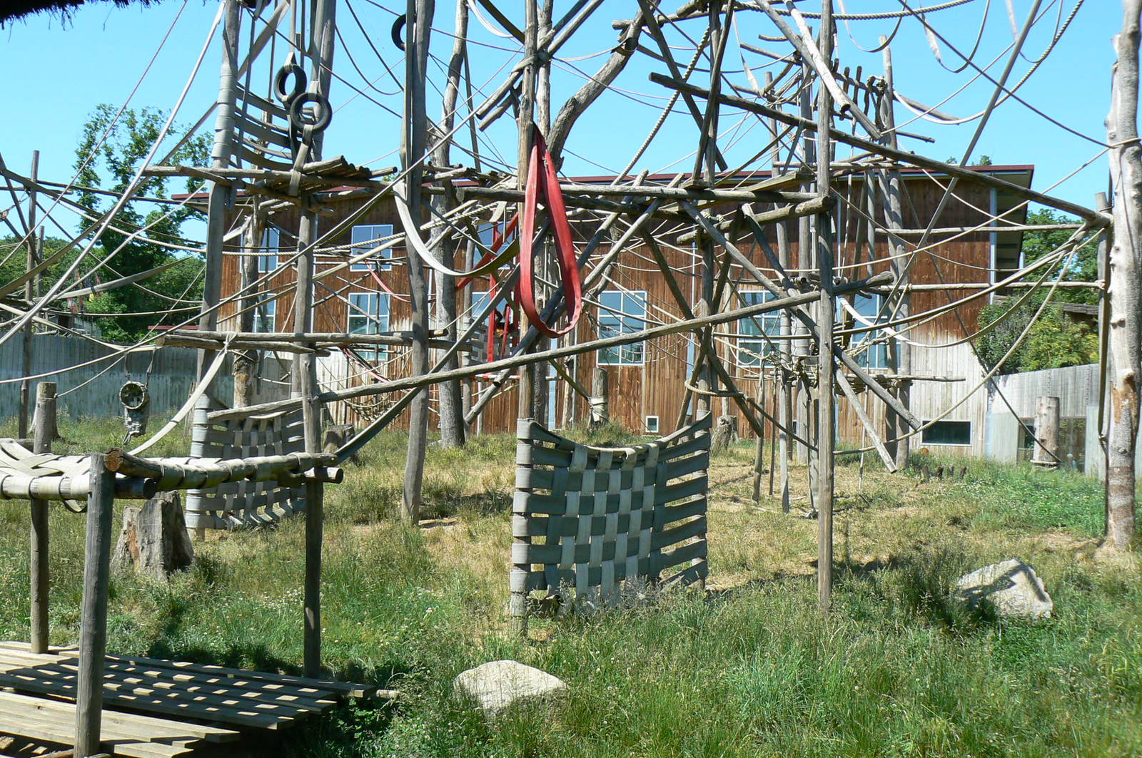 Orang-utan jungle - Outdoor enclosure