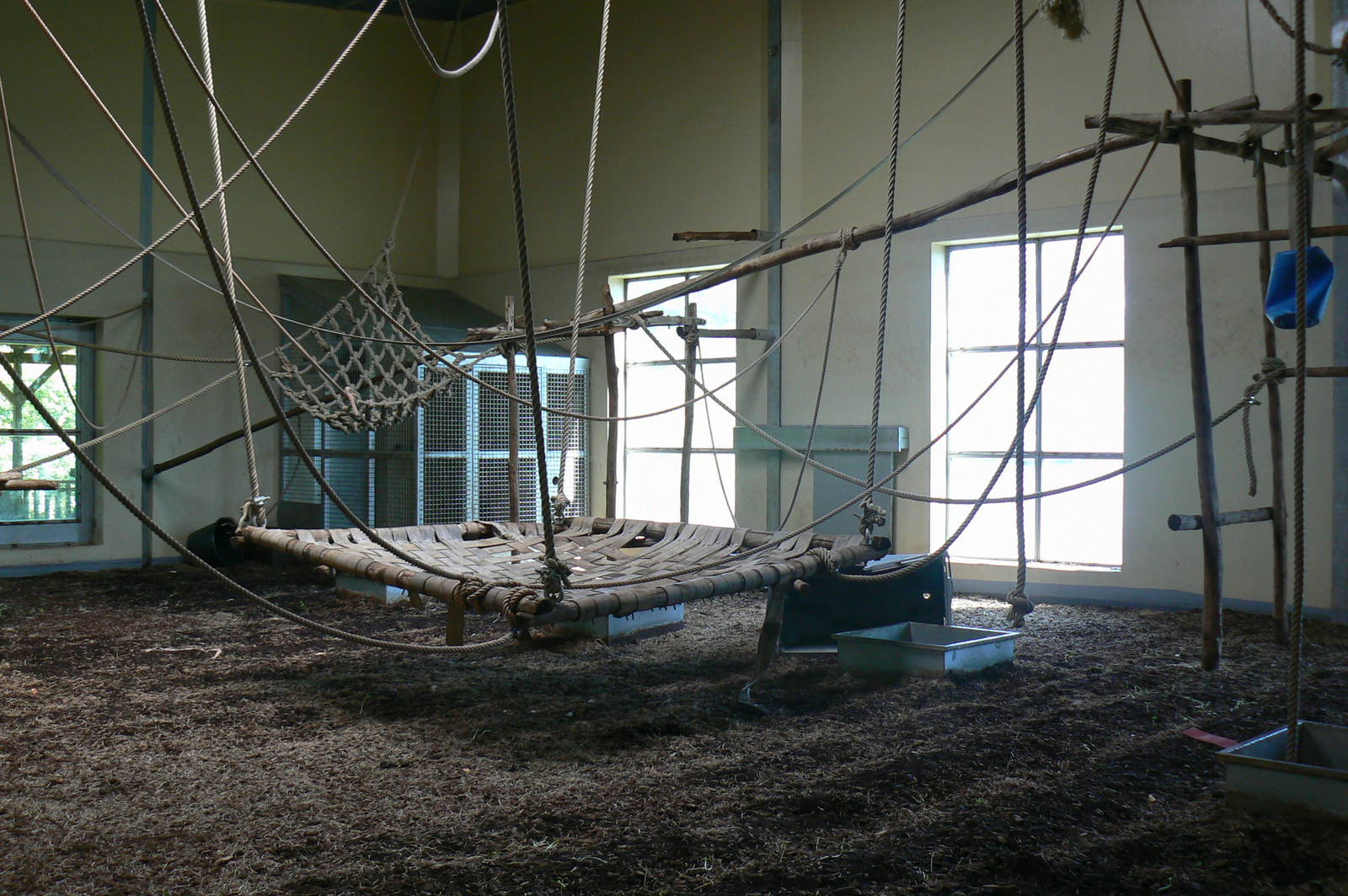 Orang-utan jungle - Second indoor enclosure