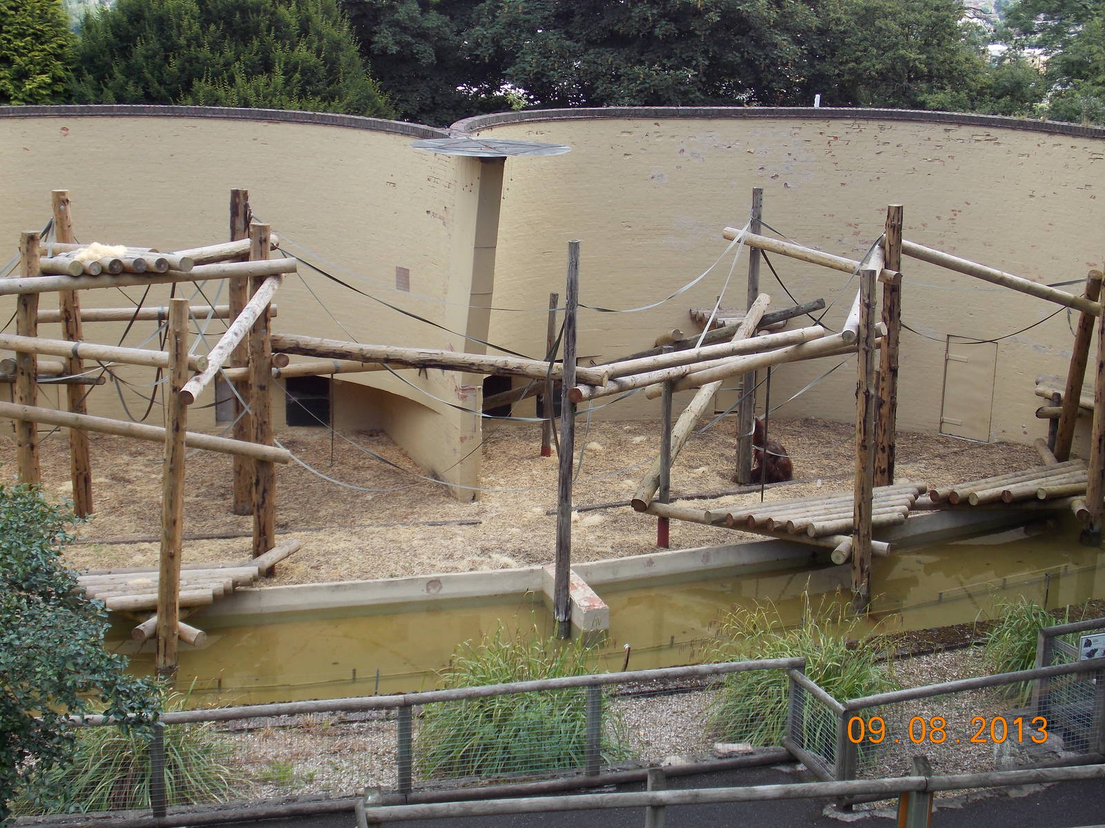 Orang-utan outdoor area 09/08/2013