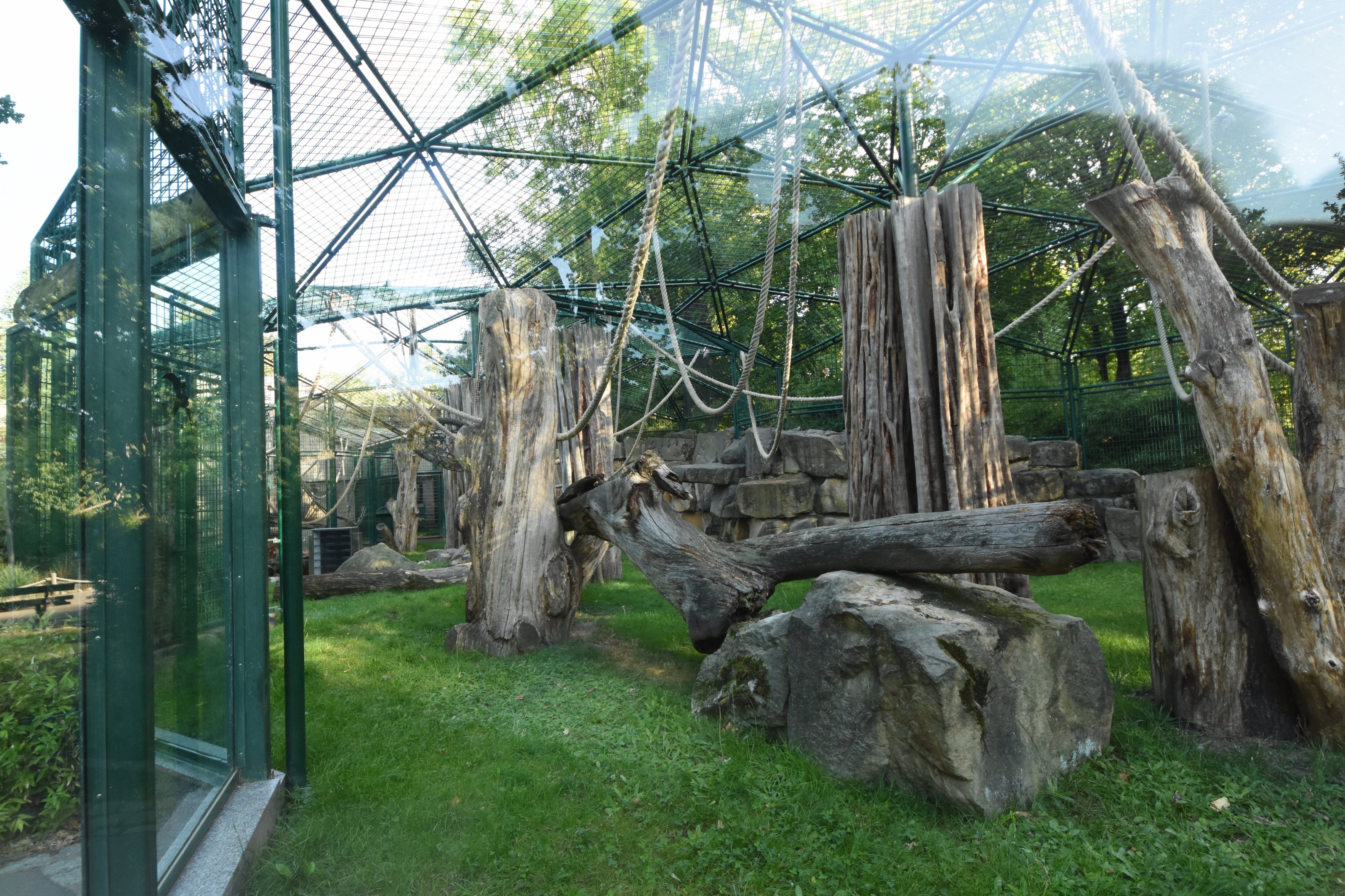 Orang utan outdoor cage
