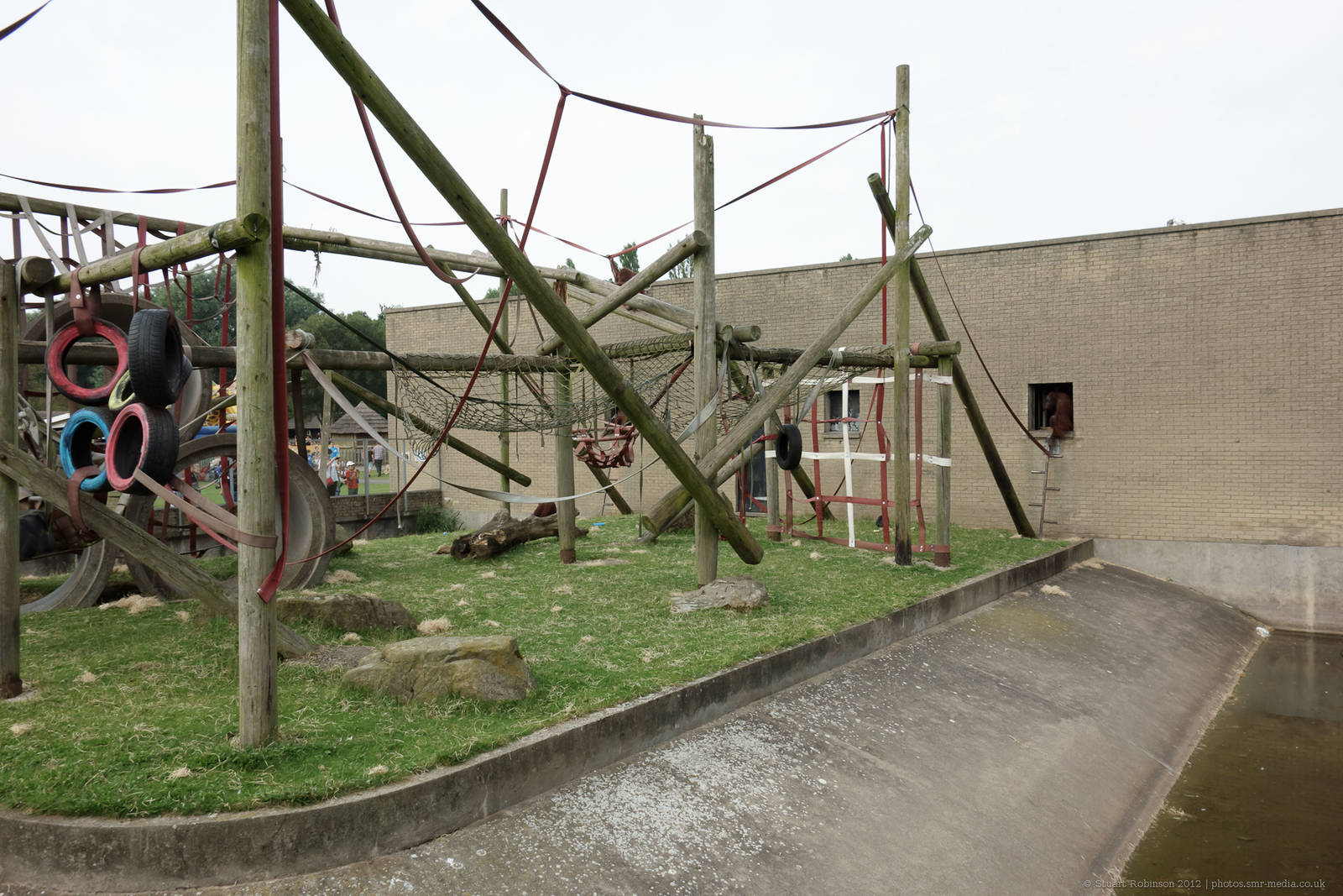 Orang-Utan Outdoor Enclosure - 11/08/2012