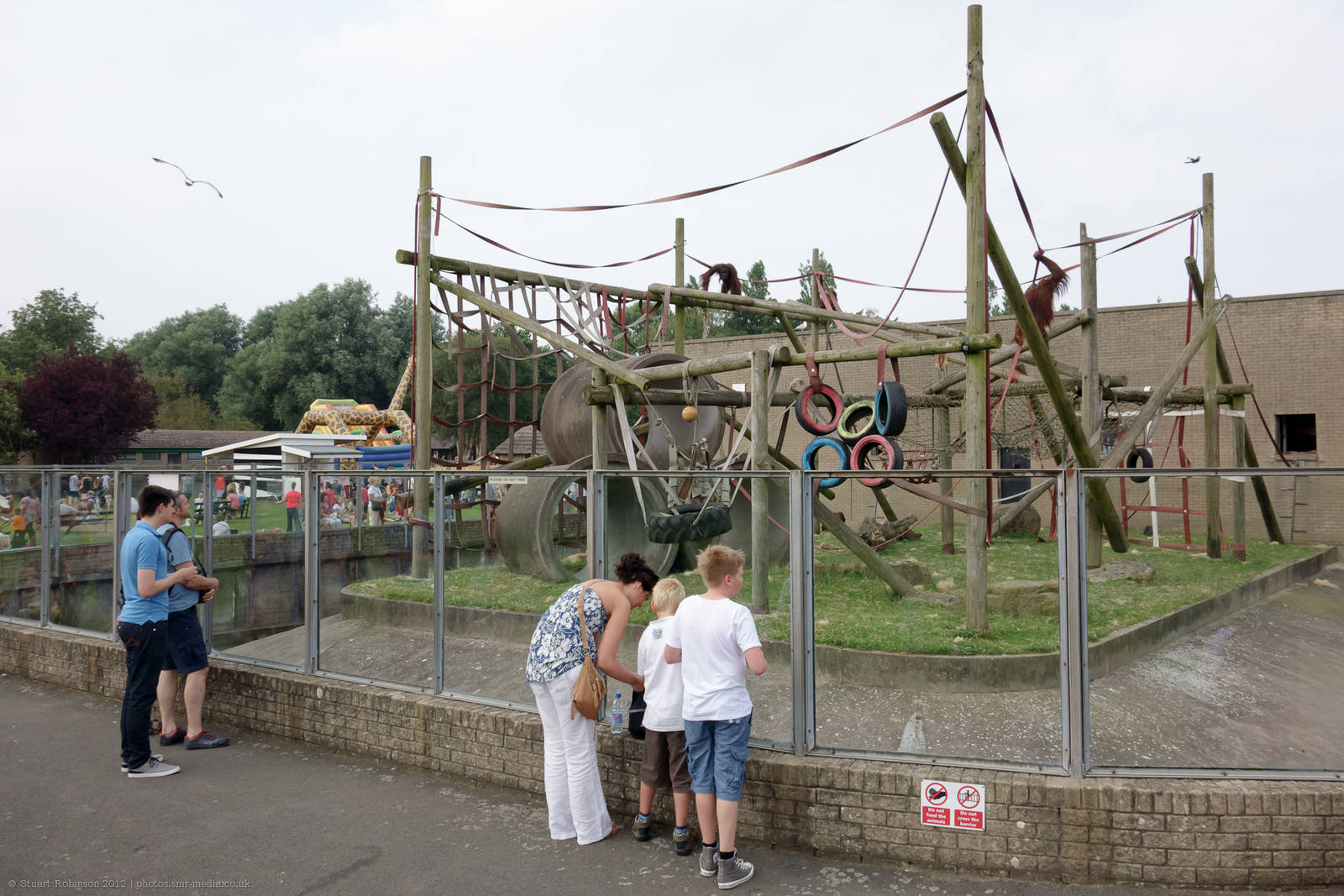 Orang-Utan Outdoor Enclosure - 11/08/2012
