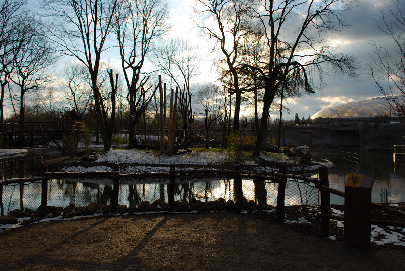 Orang-Utan outdoor enclosure